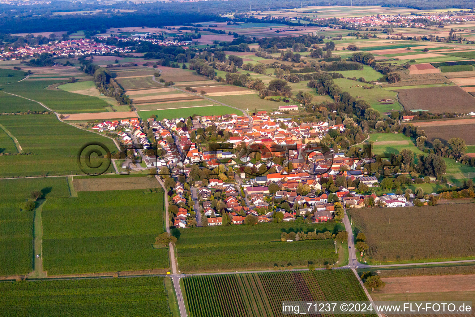 Bird's eye view of District Duttweiler in Neustadt an der Weinstraße in the state Rhineland-Palatinate, Germany