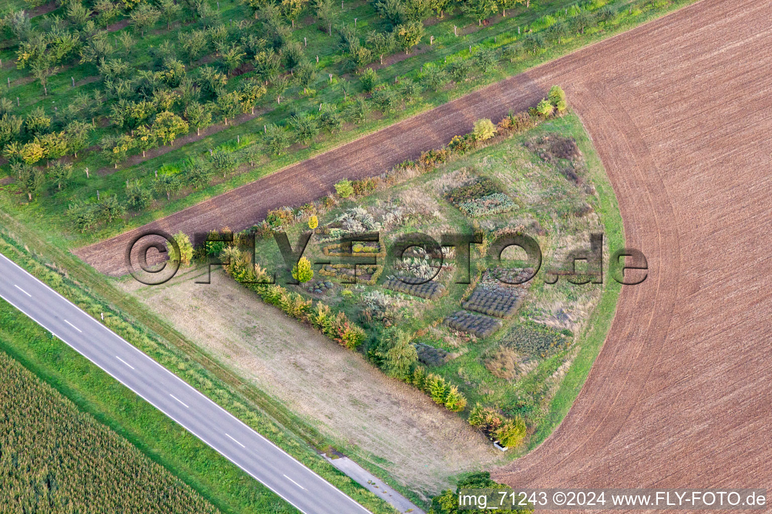 Structures on agricultural fields with a test bed at the edge of the field in the district Eckel in Kleinfischlingen in the state Rhineland-Palatinate