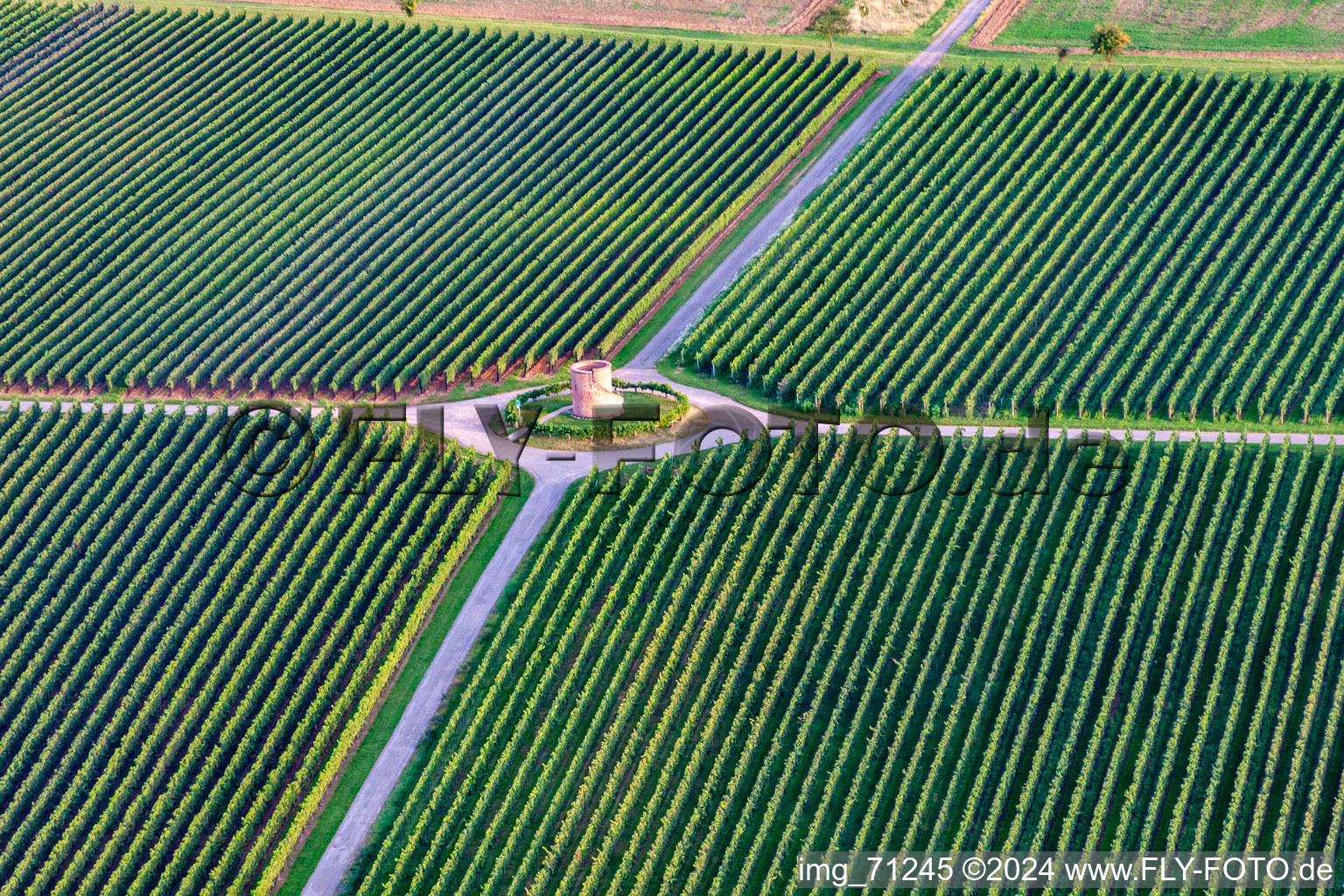 Aerial view of Houschder Winemaker's Tower in the district Niederhochstadt in Hochstadt in the state Rhineland-Palatinate, Germany