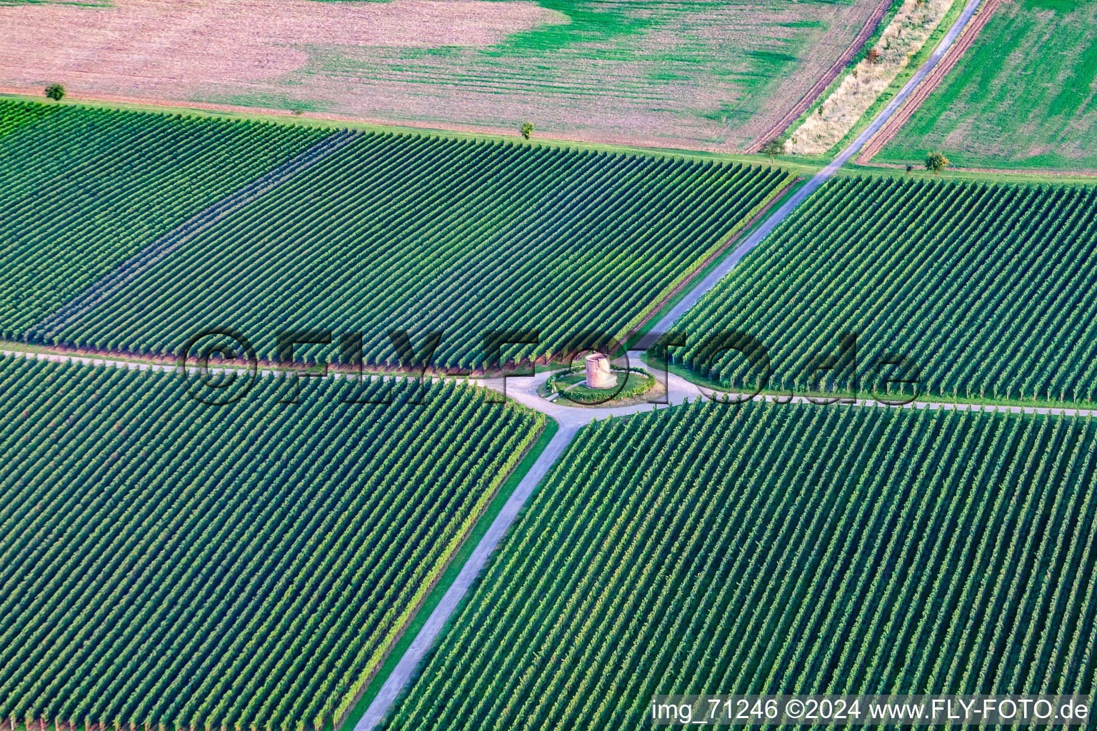 Aerial photograpy of Houschder Winemaker's Tower in the district Niederhochstadt in Hochstadt in the state Rhineland-Palatinate, Germany