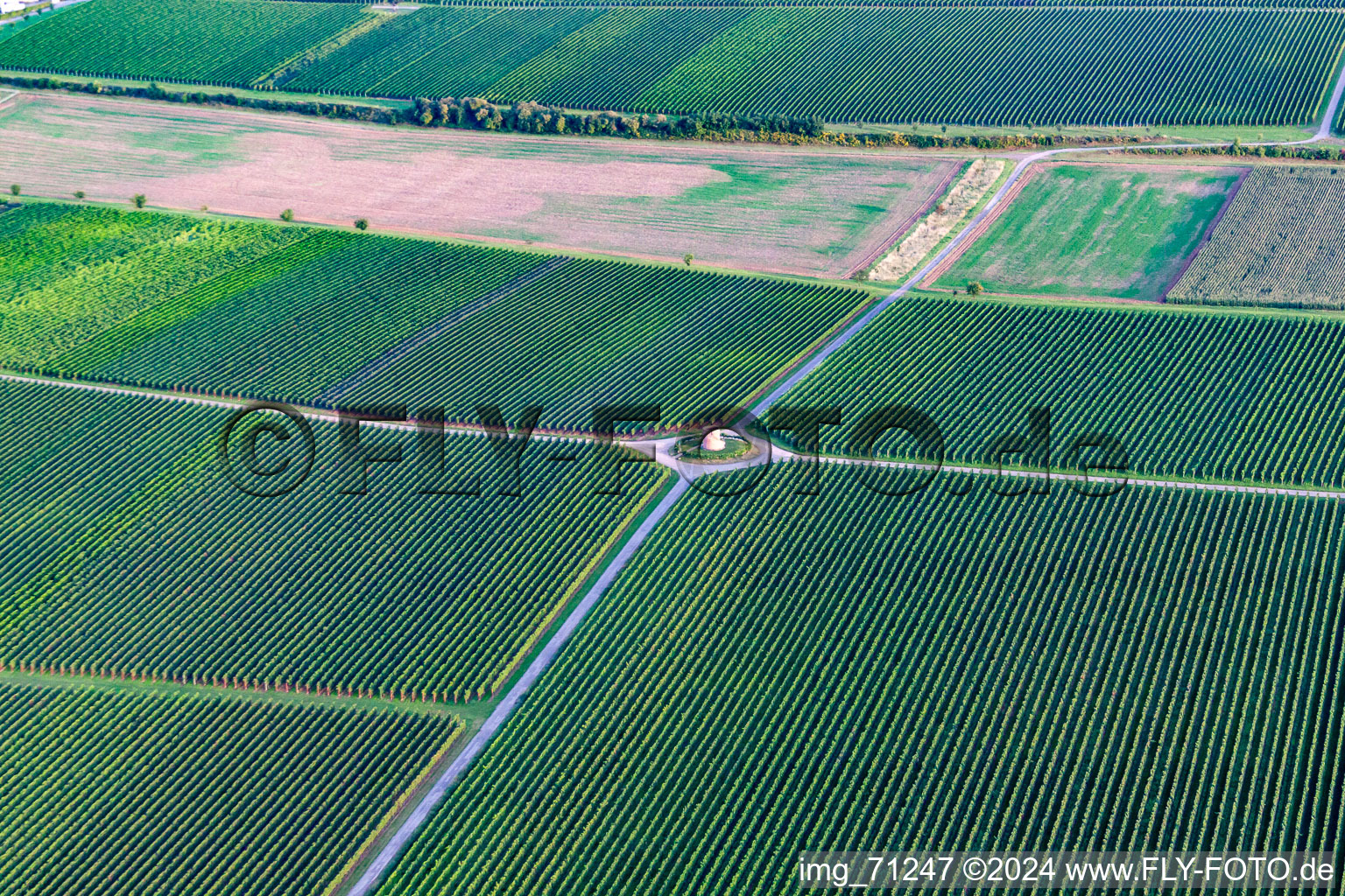 Aerial photograpy of Houschder winemaker's tower in Hochstadt in the state Rhineland-Palatinate, Germany