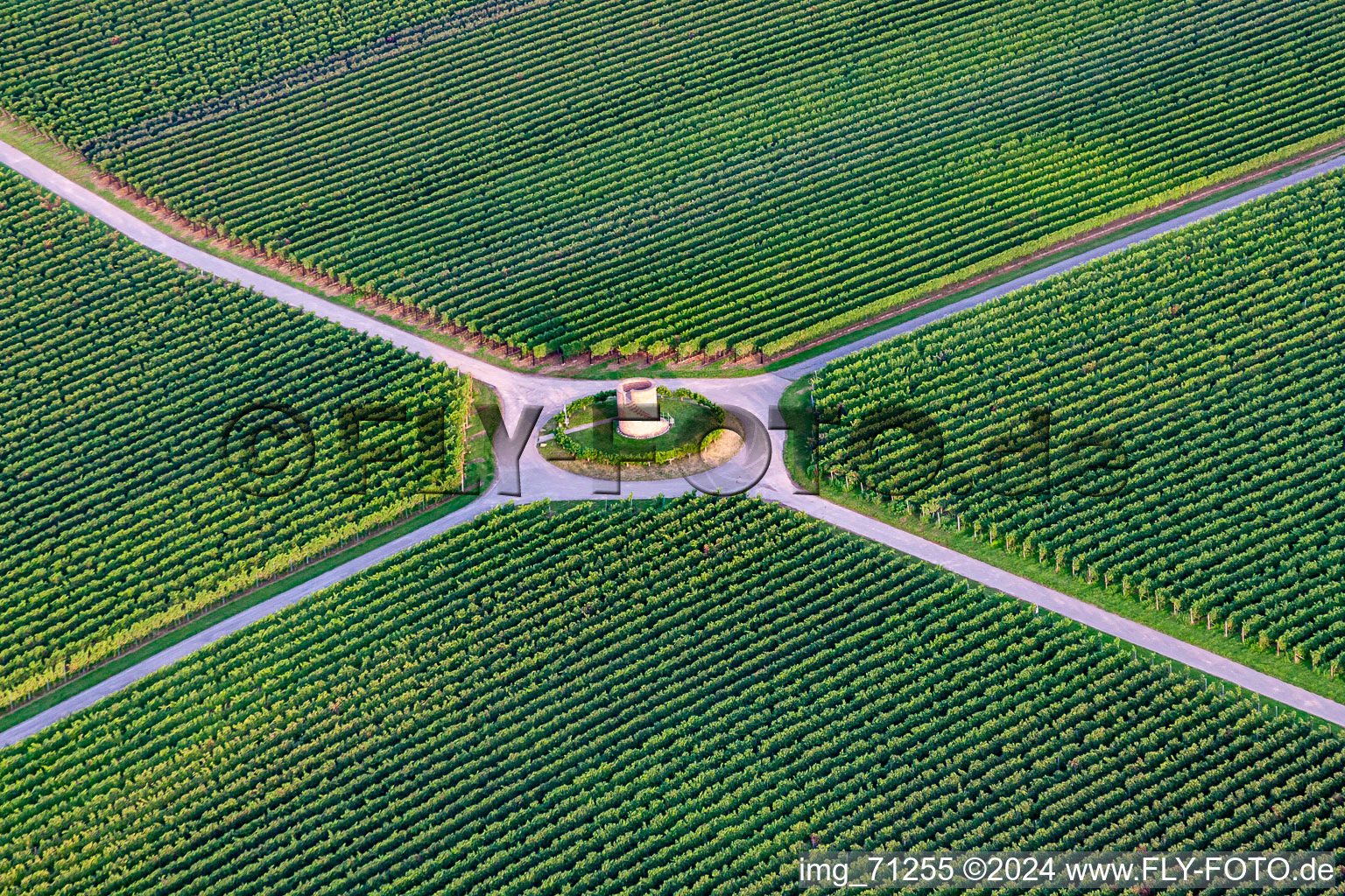 Aerial view of Fields of wine cultivation landscape in Hochstadt (Pfalz) in the state Rhineland-Palatinate