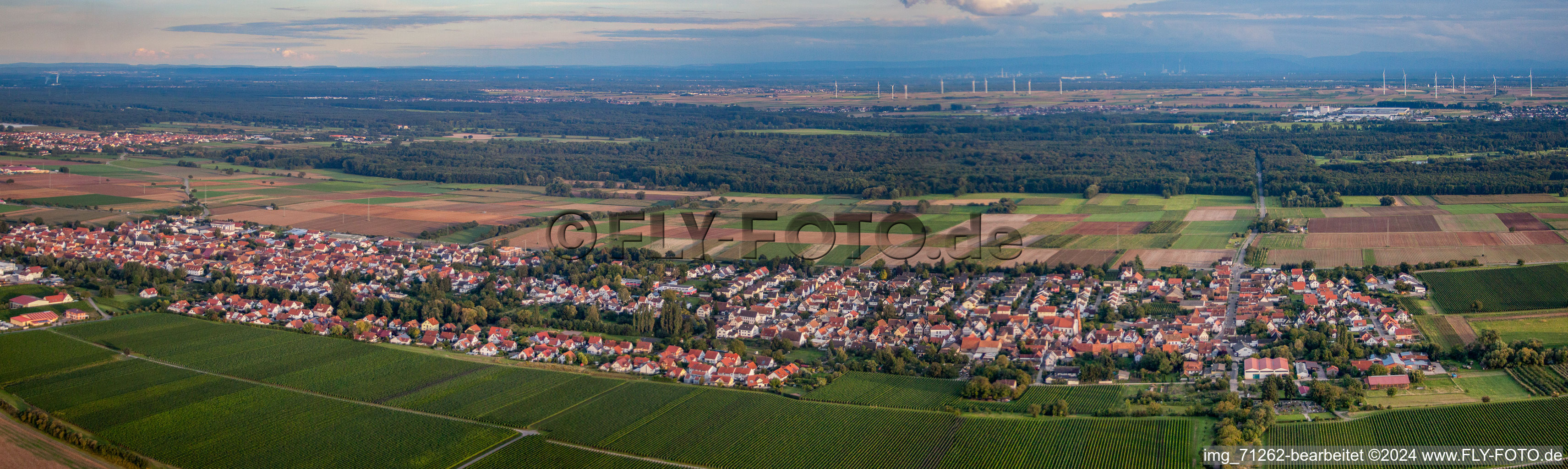 Aerial photograpy of Panorama in the district Niederhochstadt in Hochstadt in the state Rhineland-Palatinate, Germany