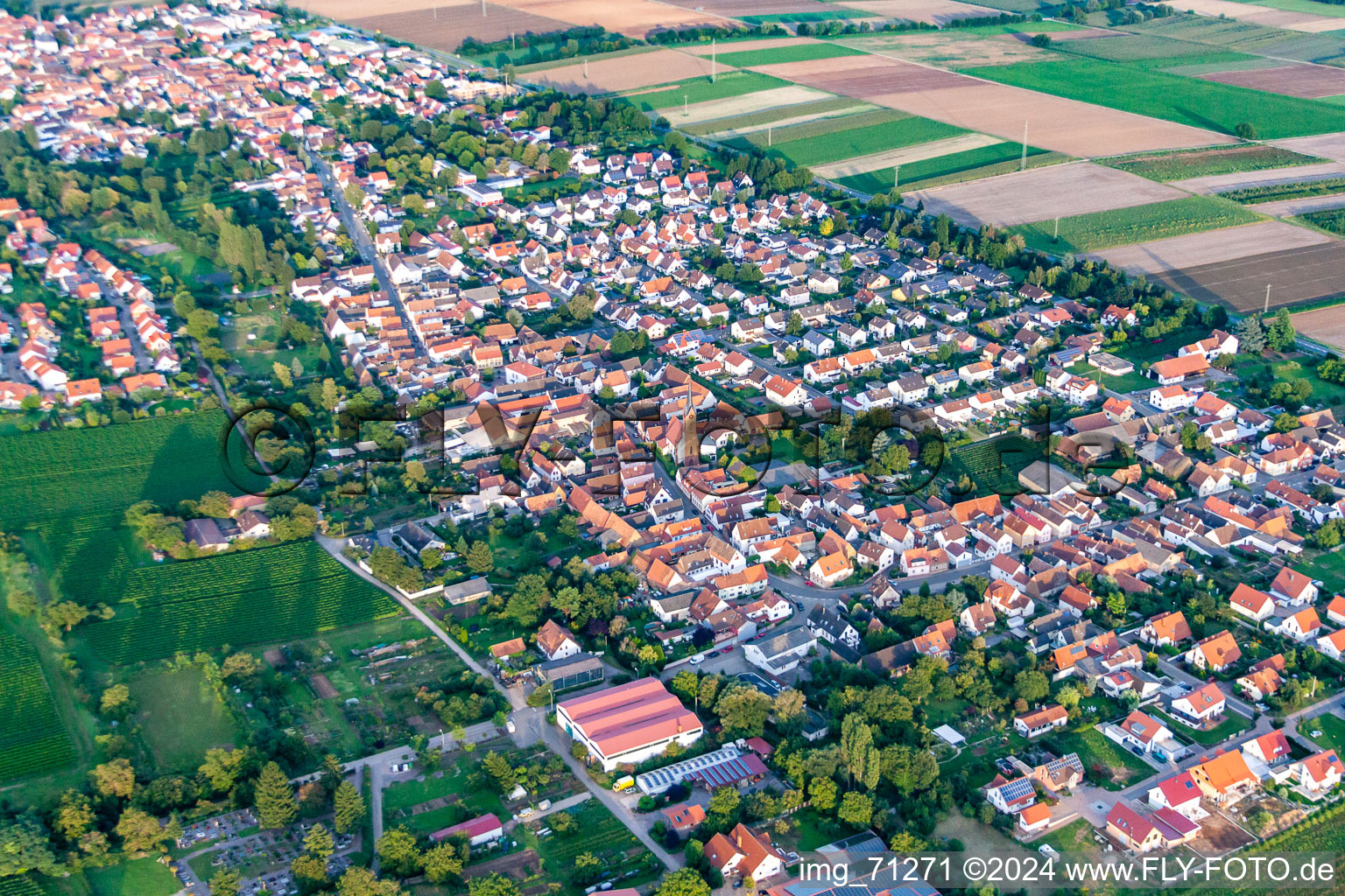 Oblique view of District Niederhochstadt in Hochstadt in the state Rhineland-Palatinate, Germany