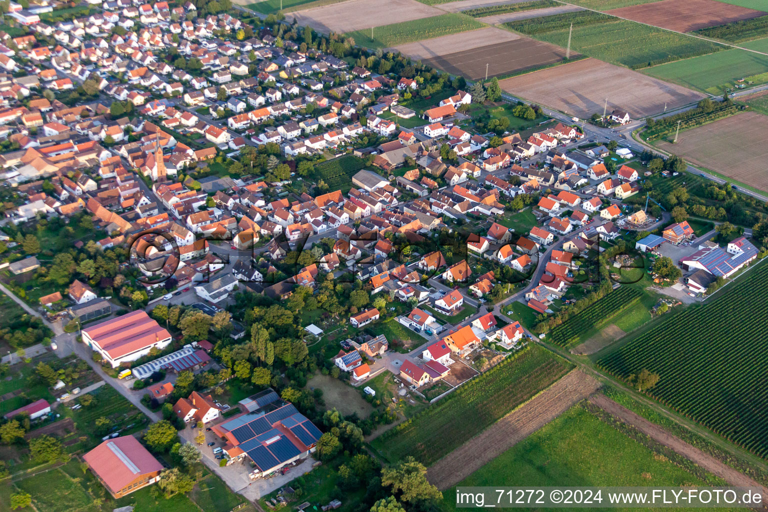 District Niederhochstadt in Hochstadt in the state Rhineland-Palatinate, Germany from above