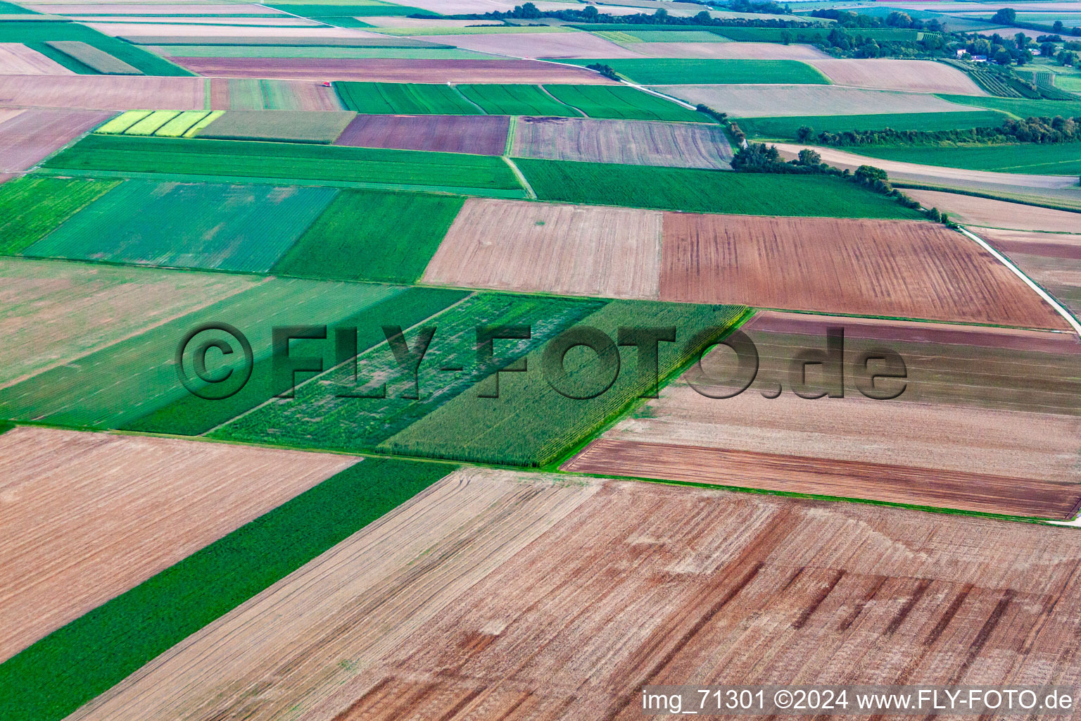 District Offenbach in Offenbach an der Queich in the state Rhineland-Palatinate, Germany viewn from the air