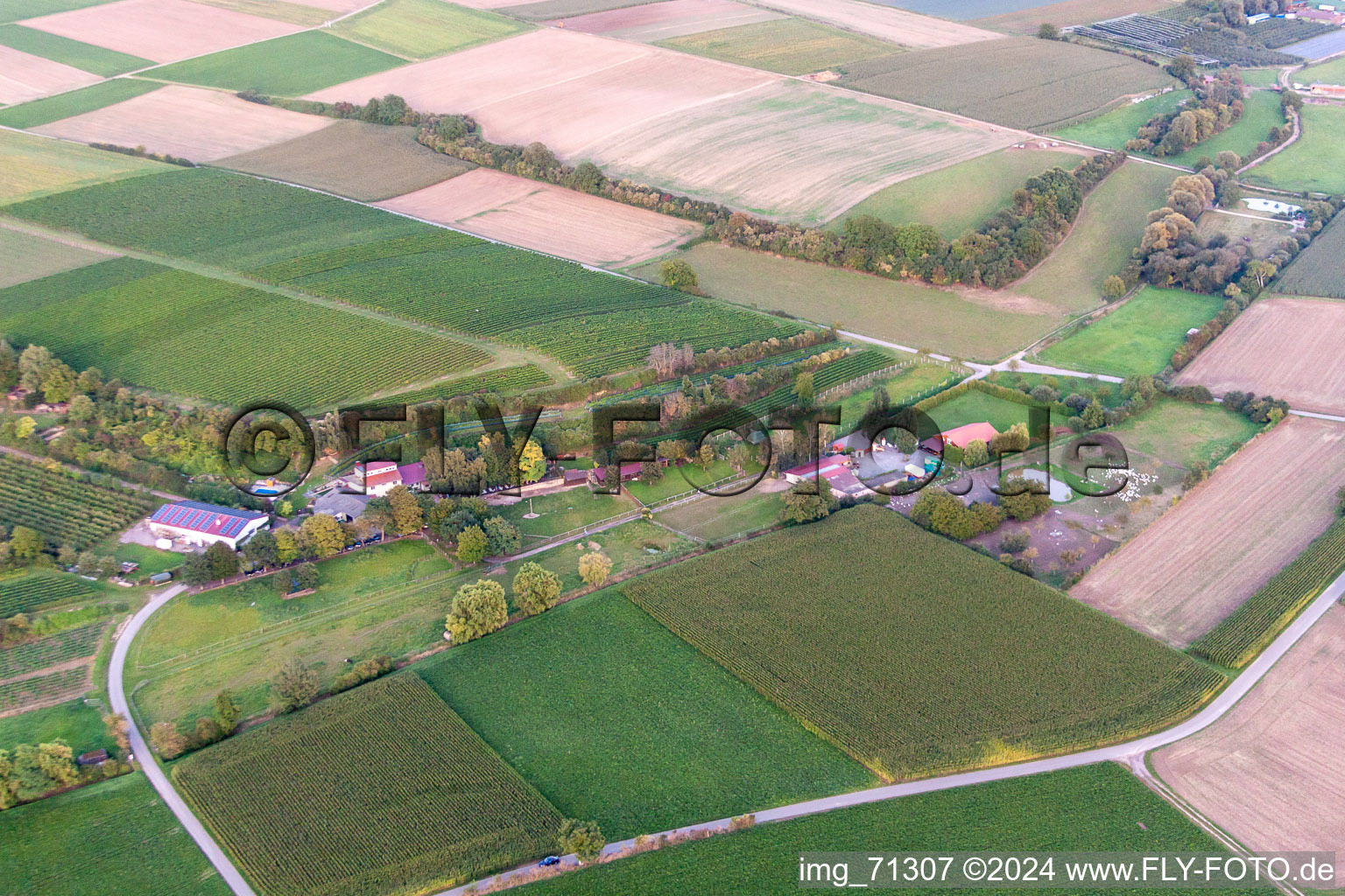 Aerial view of Wagner Ranch in Herxheim bei Landau in the state Rhineland-Palatinate, Germany