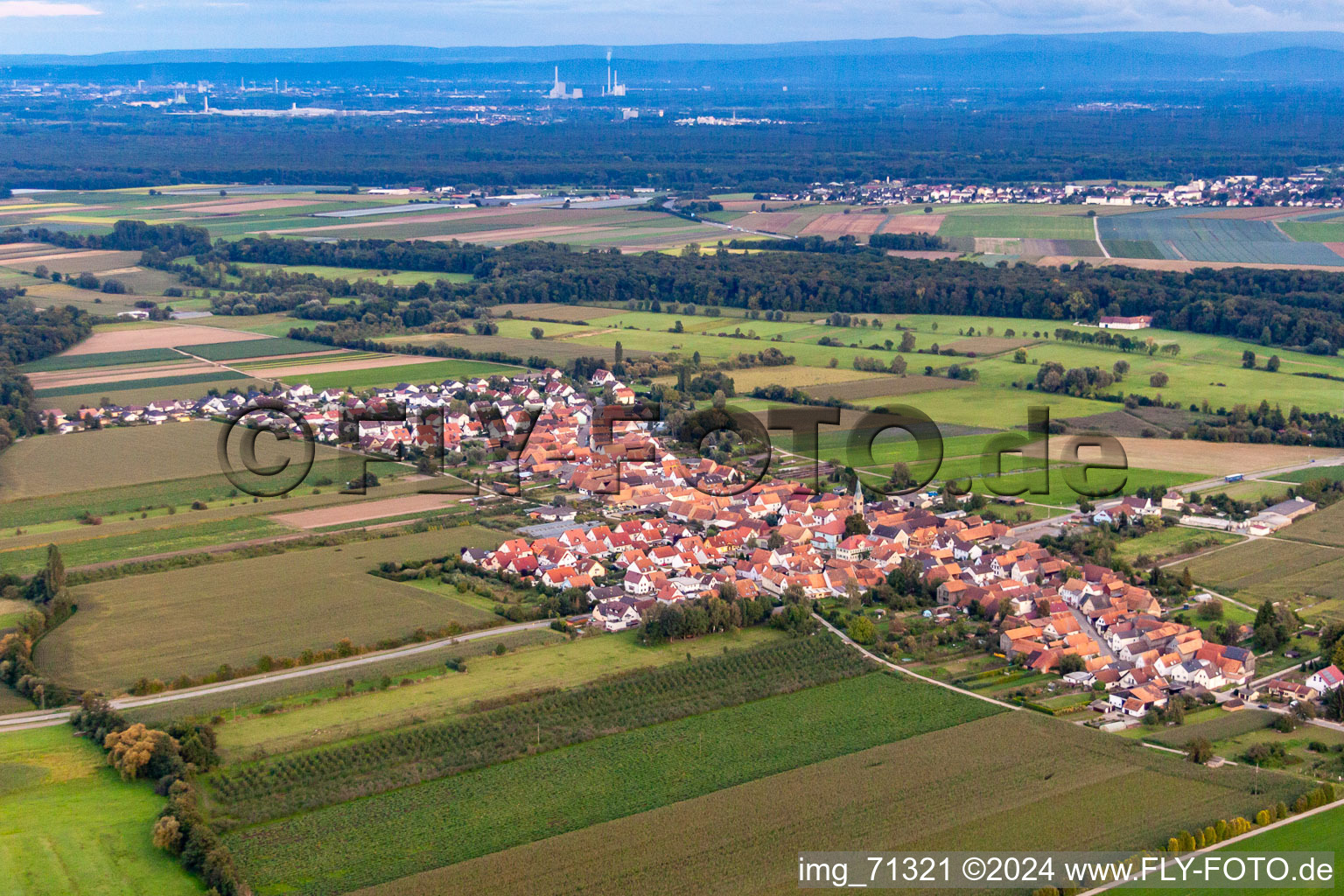 From the west in Erlenbach bei Kandel in the state Rhineland-Palatinate, Germany from above