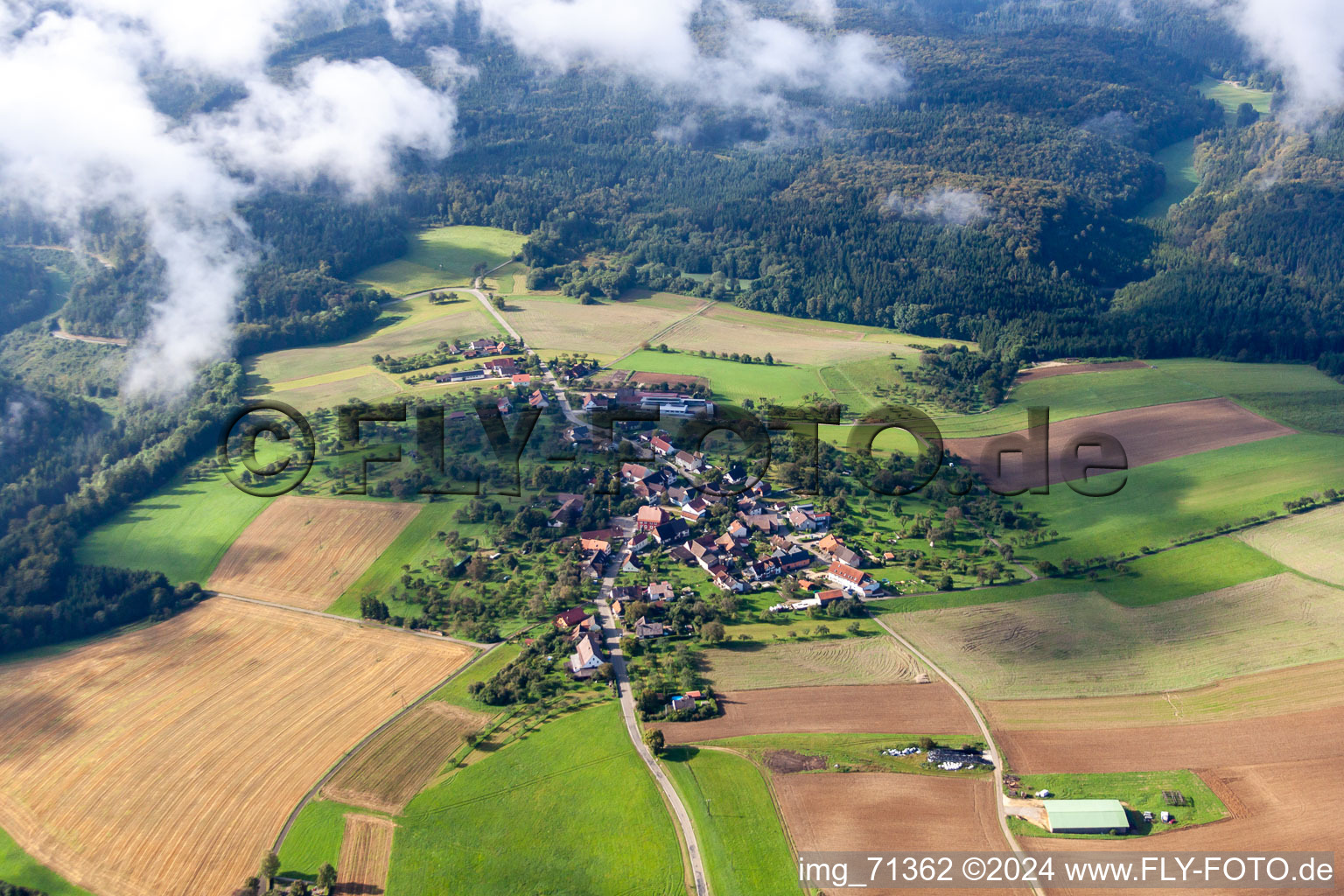 Engen in the state Baden-Wuerttemberg, Germany out of the air