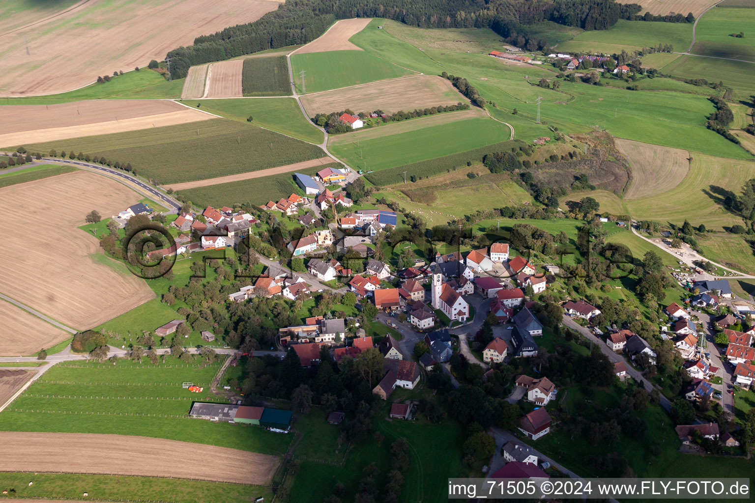 District Gallmannsweil in Mühlingen in the state Baden-Wuerttemberg, Germany from above