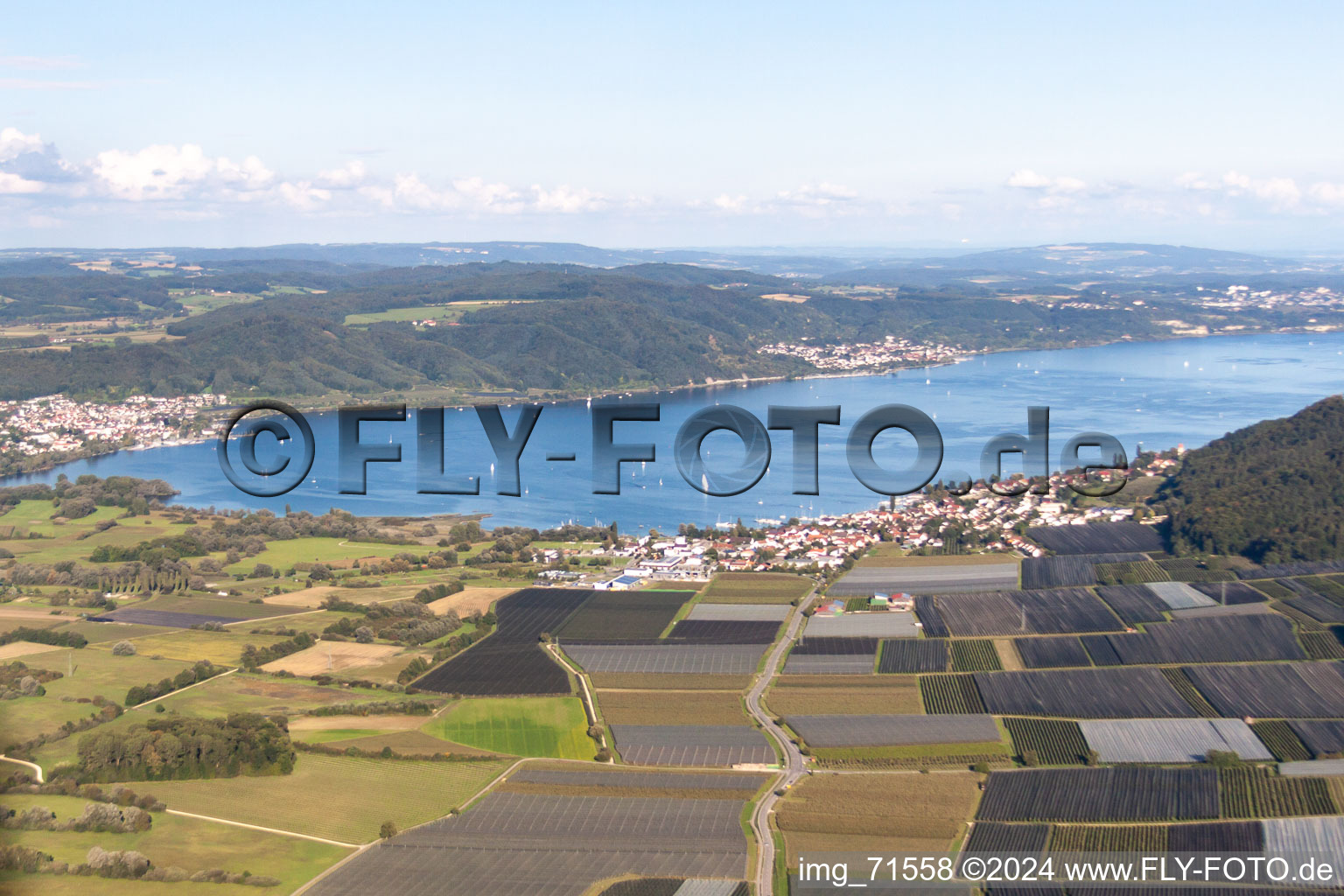 Village on the banks of the area Lake Constance in the district Bodman in Bodman-Ludwigshafen in the state Baden-Wurttemberg from above