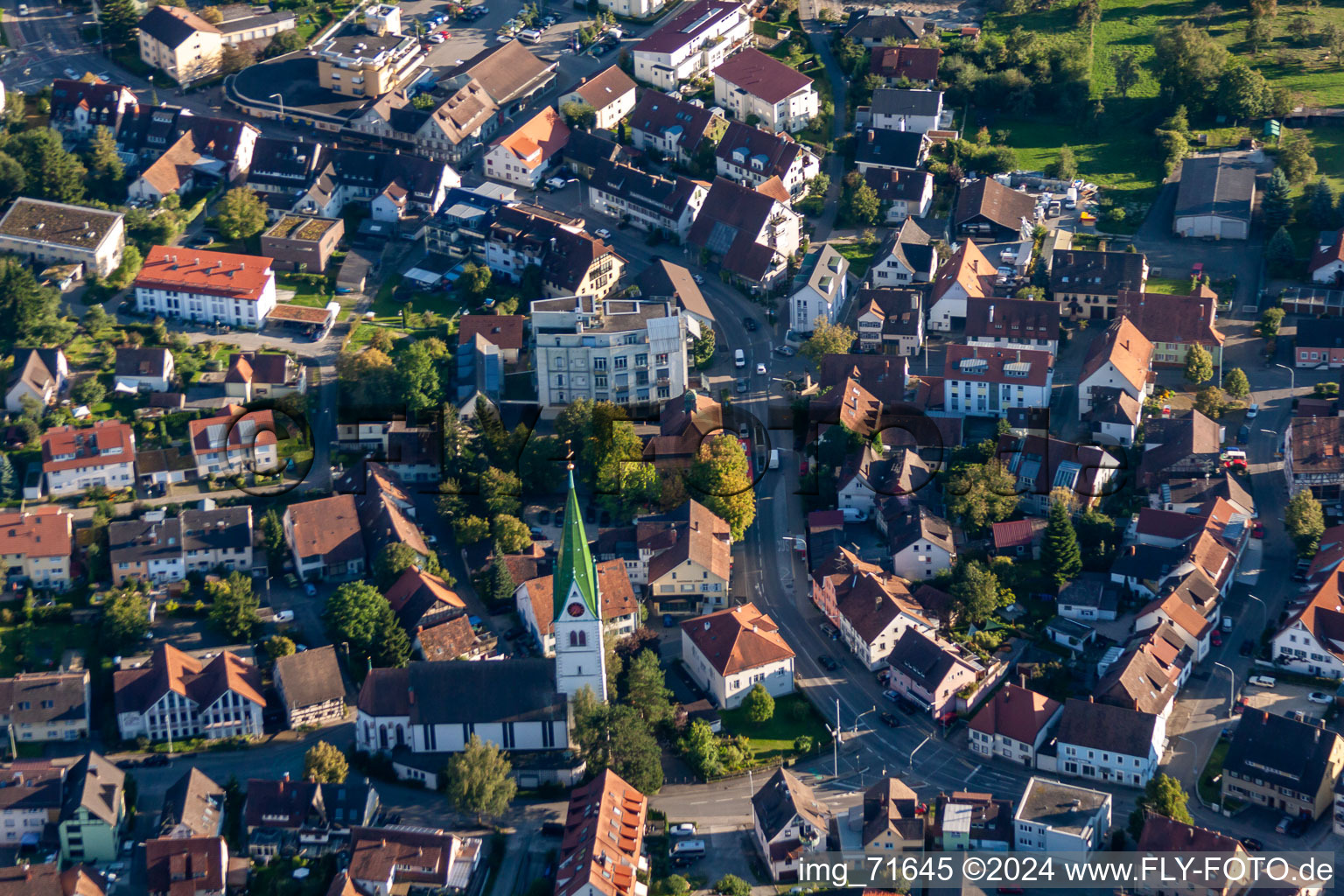 Aerial view of St. Martin in the district Wollmatingen in Konstanz in the state Baden-Wuerttemberg, Germany