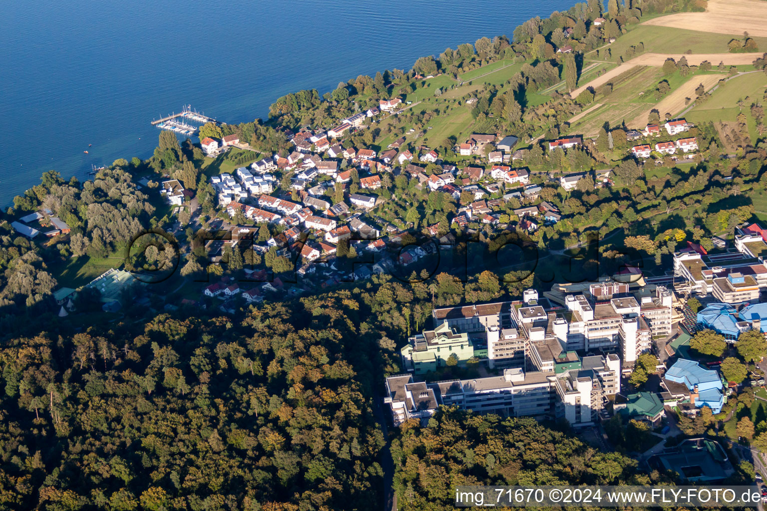 Riparian areas on the lake area of Lake Constance in the district Egg in Konstanz in the state Baden-Wurttemberg, Germany