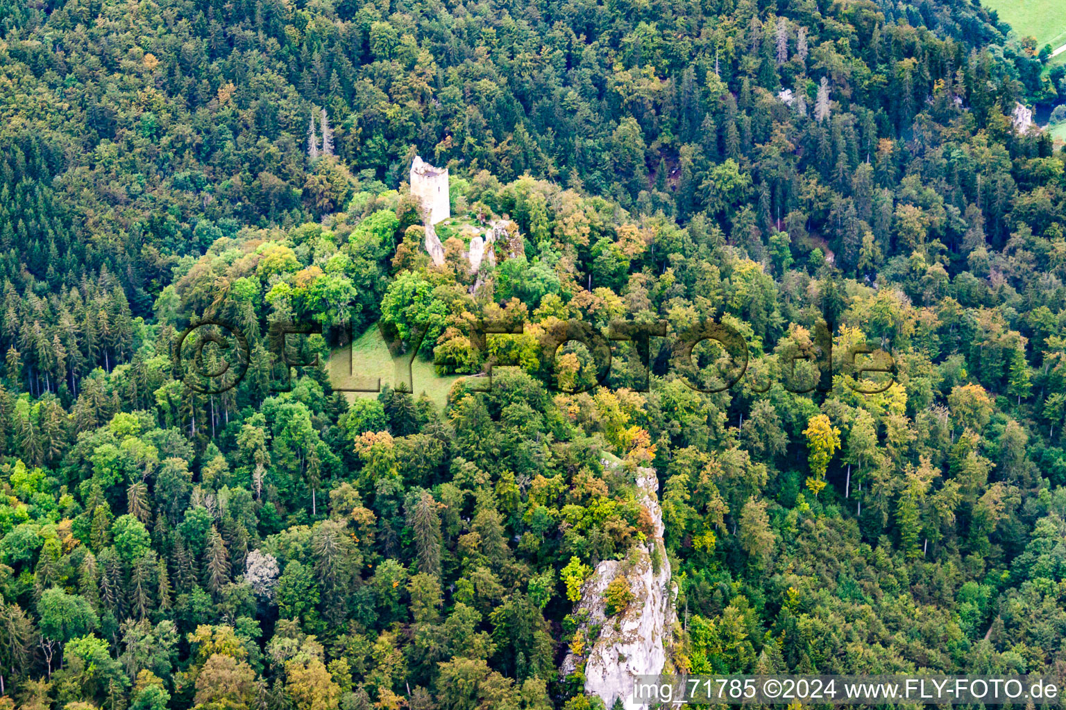 Kallenberg Castle Ruins in Buchheim in the state Baden-Wuerttemberg, Germany