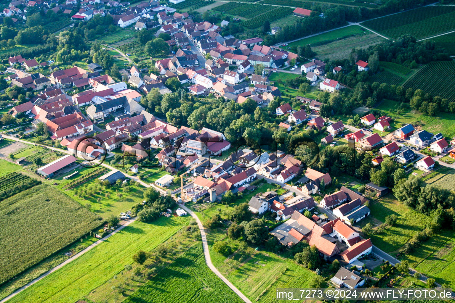 Oblique view of Village - view on the edge of agricultural fields and farmland in Dierbach in the state Rhineland-Palatinate