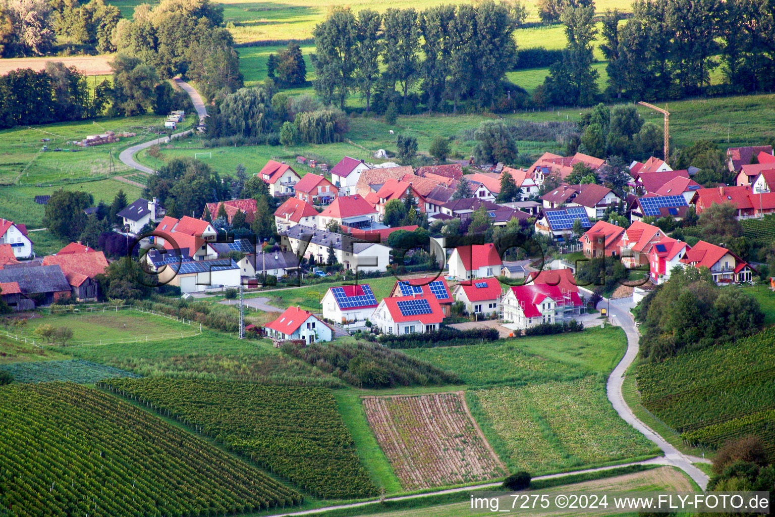 Drone image of Hergersweiler in the state Rhineland-Palatinate, Germany