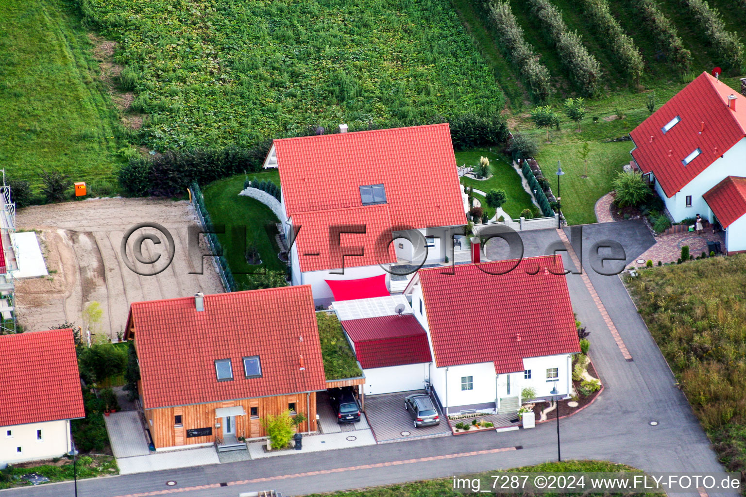 Hergersweiler in the state Rhineland-Palatinate, Germany from a drone