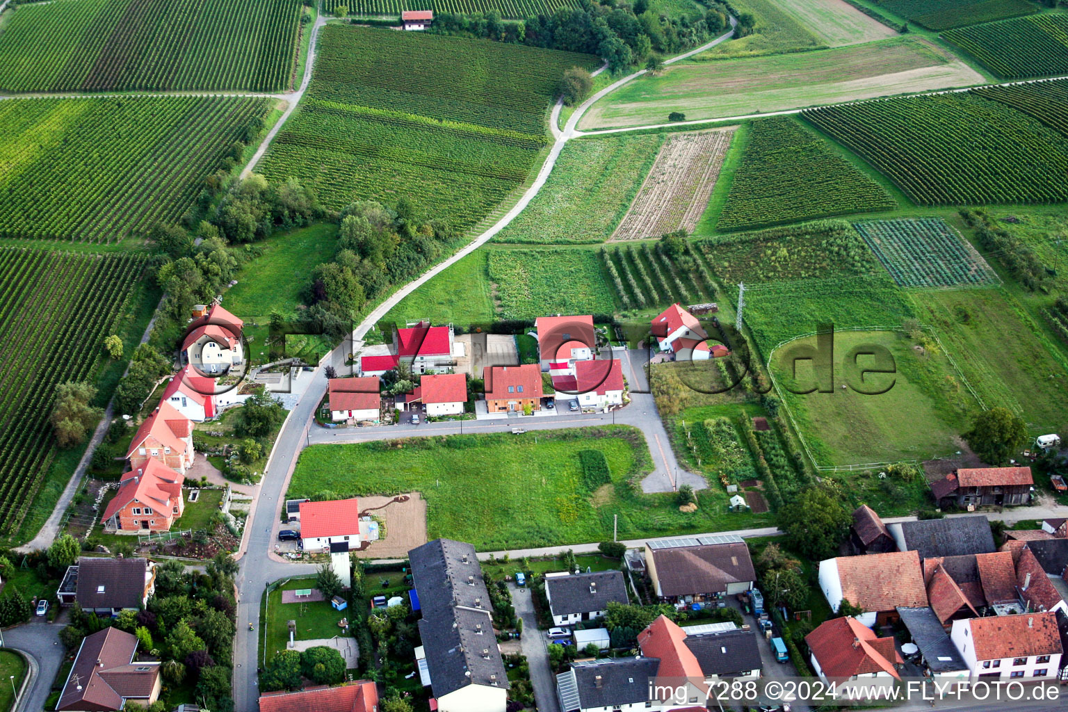 Hergersweiler in the state Rhineland-Palatinate, Germany seen from a drone