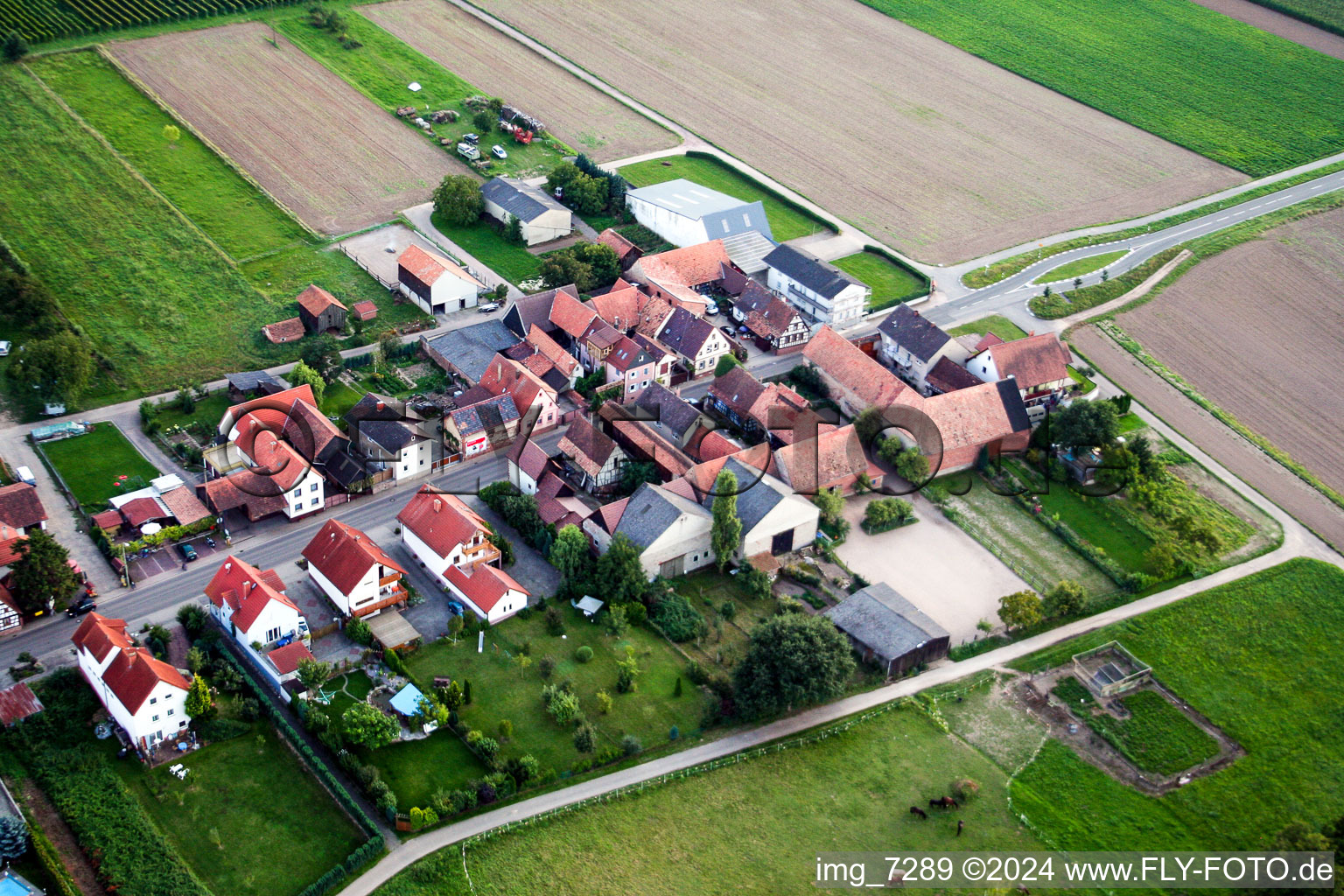 Aerial view of Hergersweiler in the state Rhineland-Palatinate, Germany