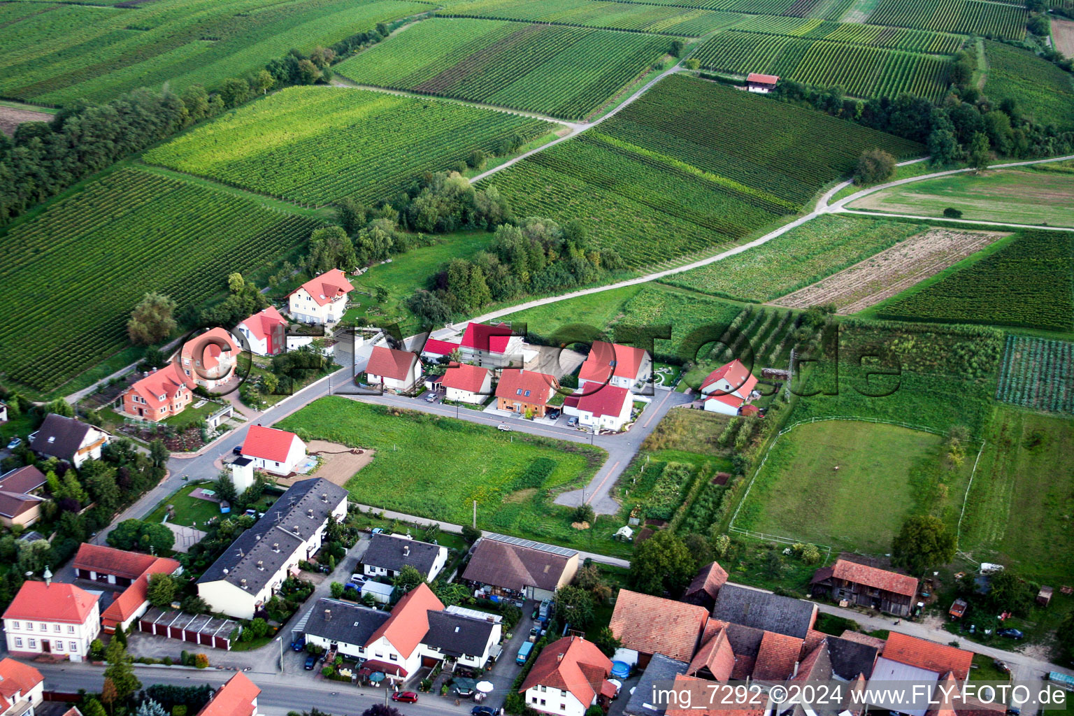 Hergersweiler in the state Rhineland-Palatinate, Germany from above