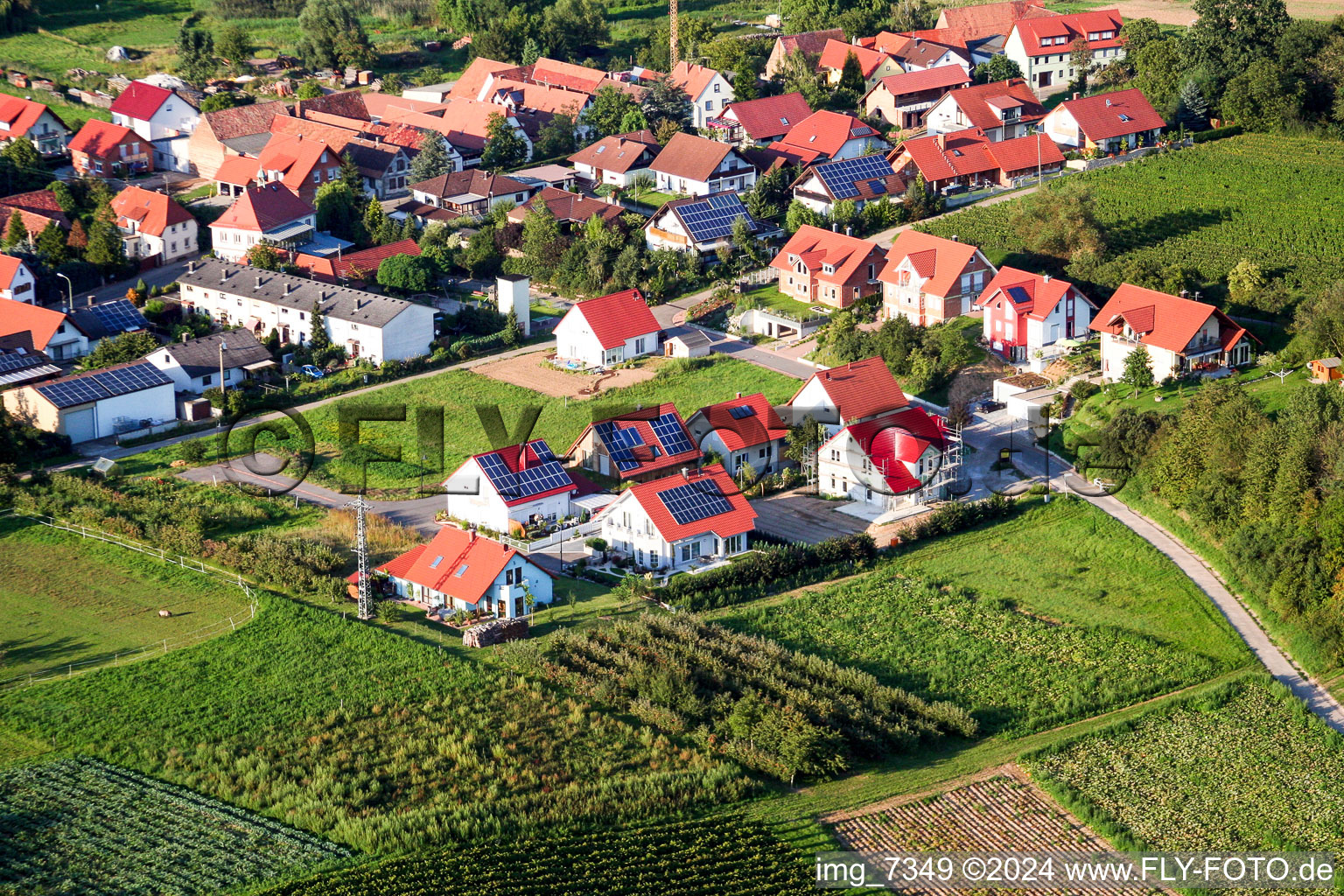 Drone image of Hergersweiler in the state Rhineland-Palatinate, Germany