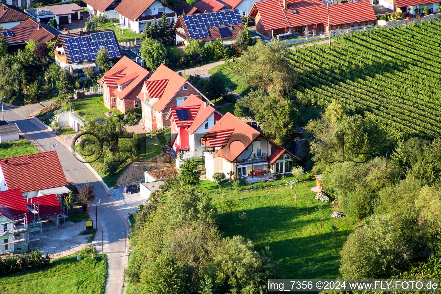 Hergersweiler in the state Rhineland-Palatinate, Germany from a drone