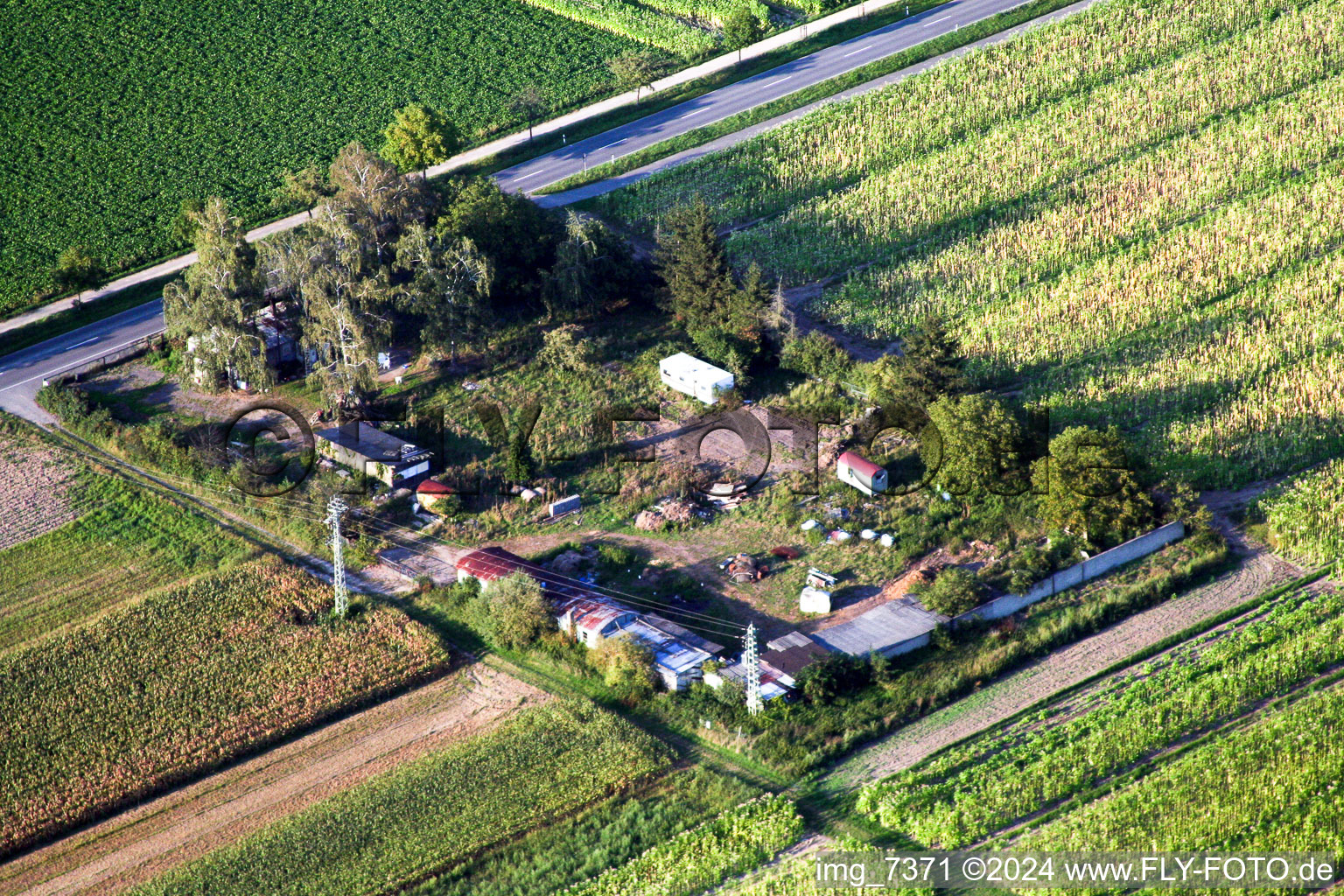 Minfeld in the state Rhineland-Palatinate, Germany from above