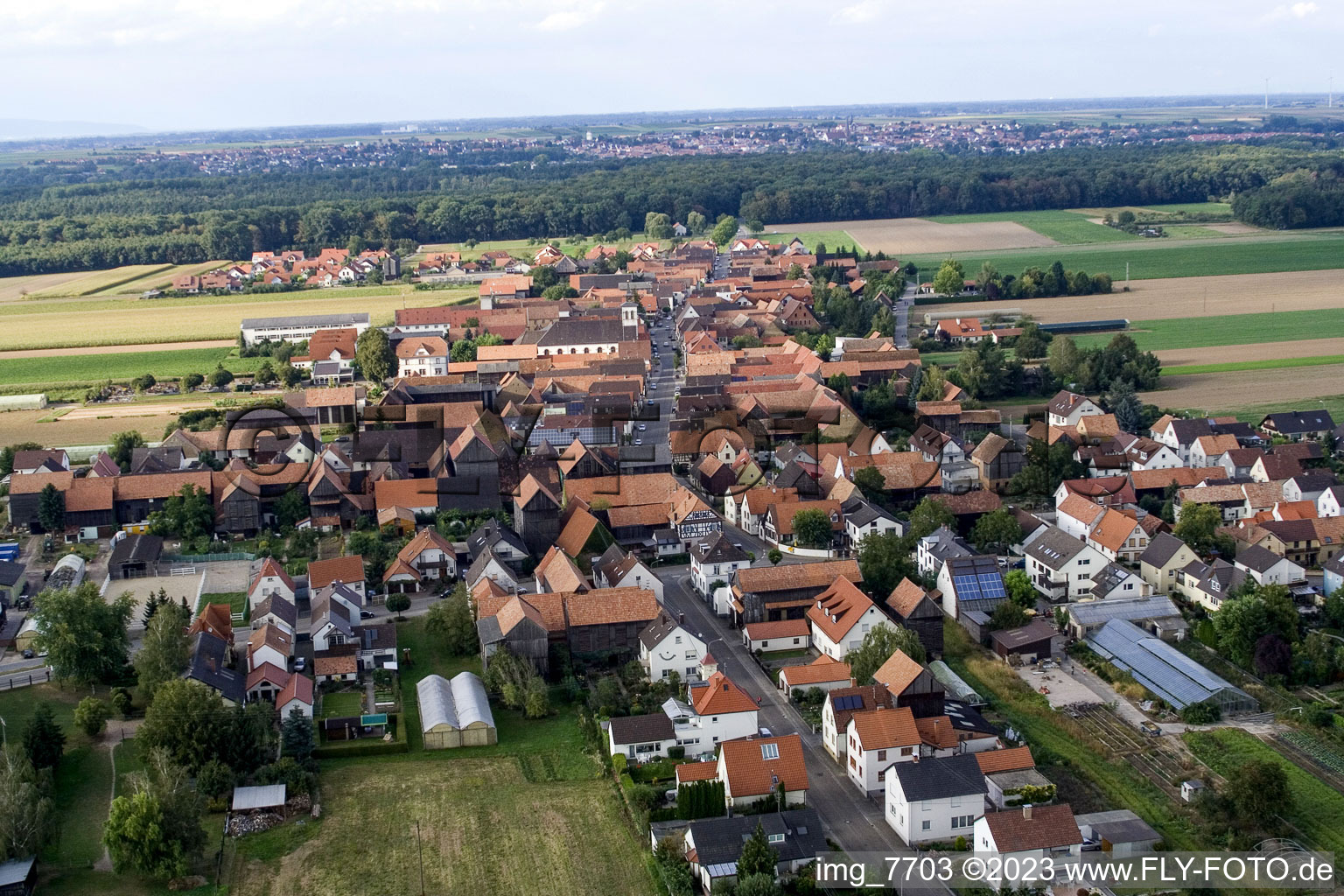 Aerial photograpy of District Hayna in Herxheim bei Landau in the state Rhineland-Palatinate, Germany