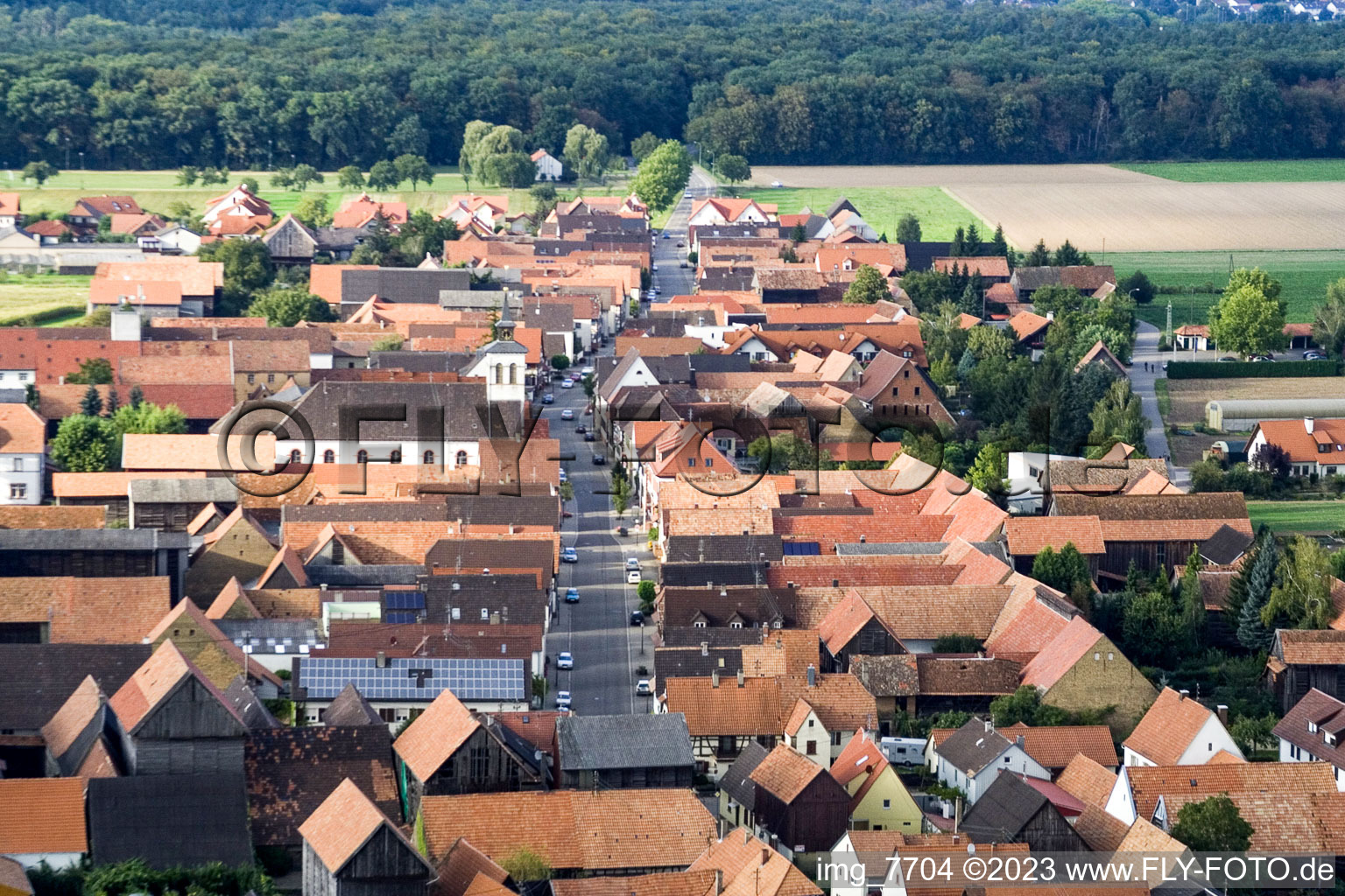 Oblique view of District Hayna in Herxheim bei Landau in the state Rhineland-Palatinate, Germany