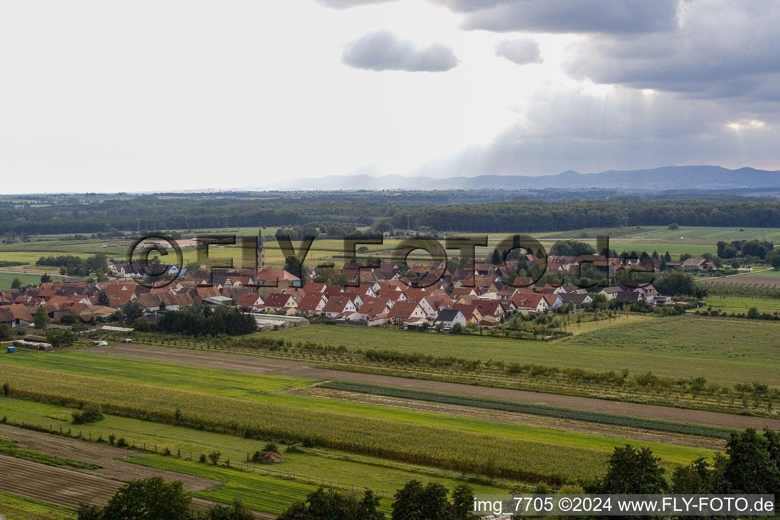 Bird's eye view of Erlenbach bei Kandel in the state Rhineland-Palatinate, Germany