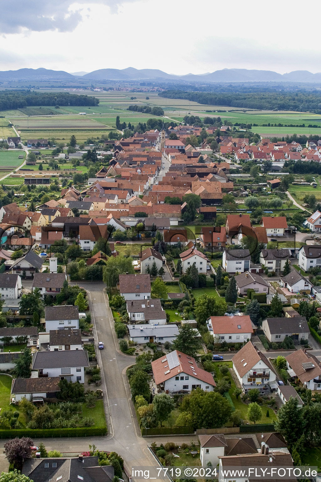 Erlenbach bei Kandel in the state Rhineland-Palatinate, Germany from a drone