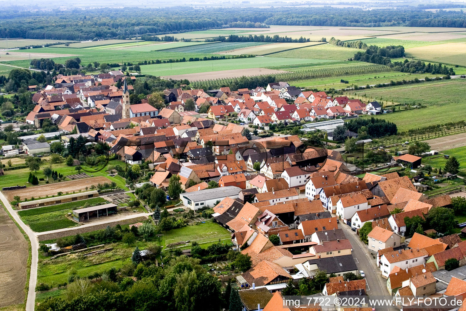 Aerial view of Erlenbach bei Kandel in the state Rhineland-Palatinate, Germany