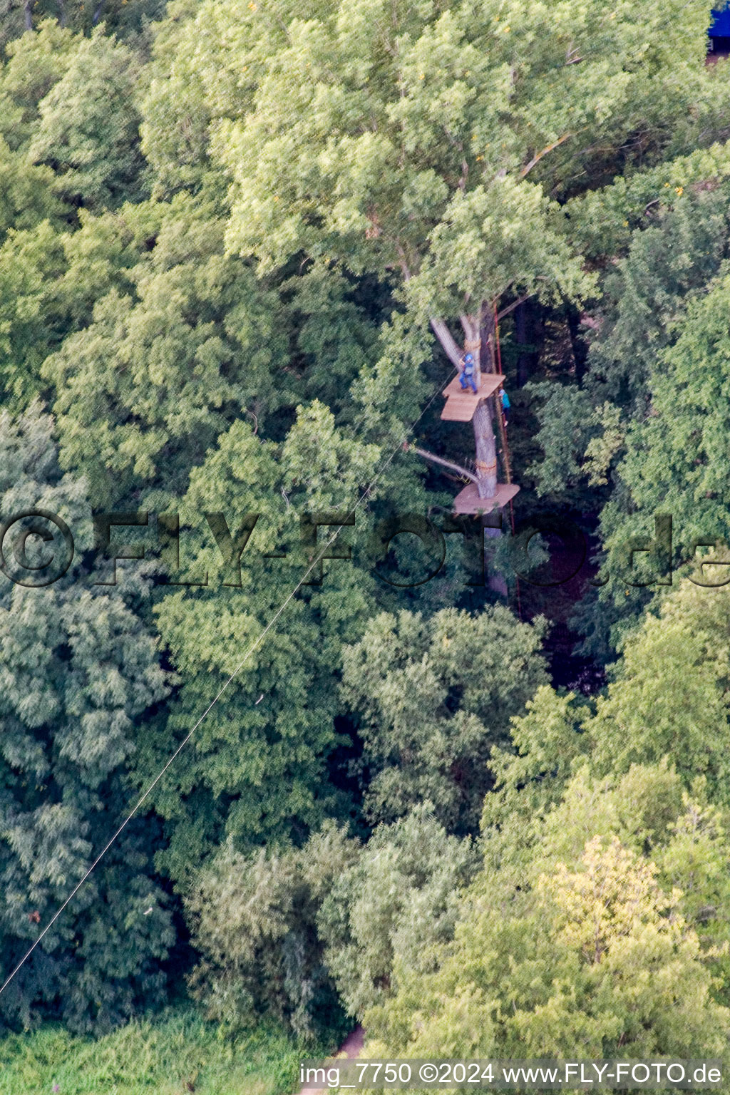 Oblique view of Giant zip line, Fun-Forest camp in Kandel in the state Rhineland-Palatinate, Germany