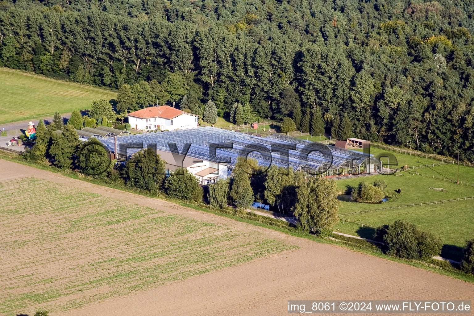 Bird's eye view of Cactusland in Steinfeld in the state Rhineland-Palatinate, Germany