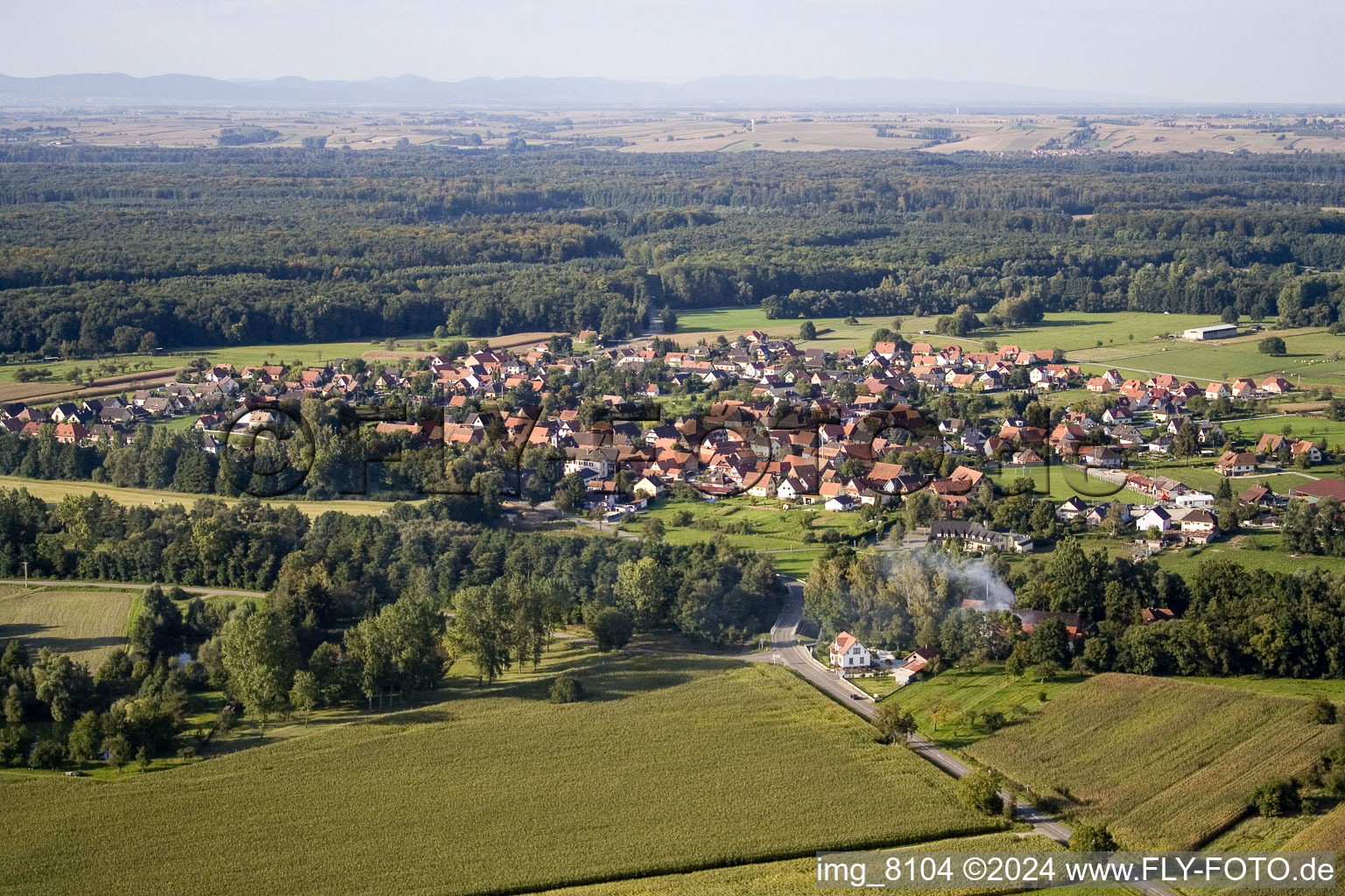 Forstfeld in the state Bas-Rhin, France from above