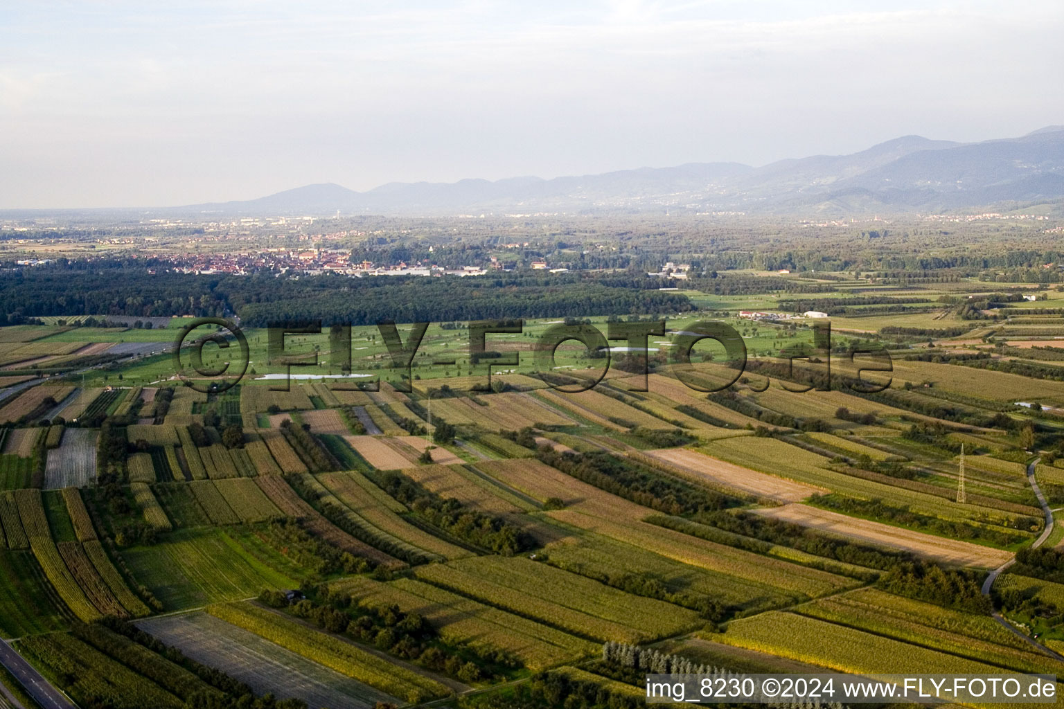 Golf course from the south in the district Urloffen in Appenweier in the state Baden-Wuerttemberg, Germany