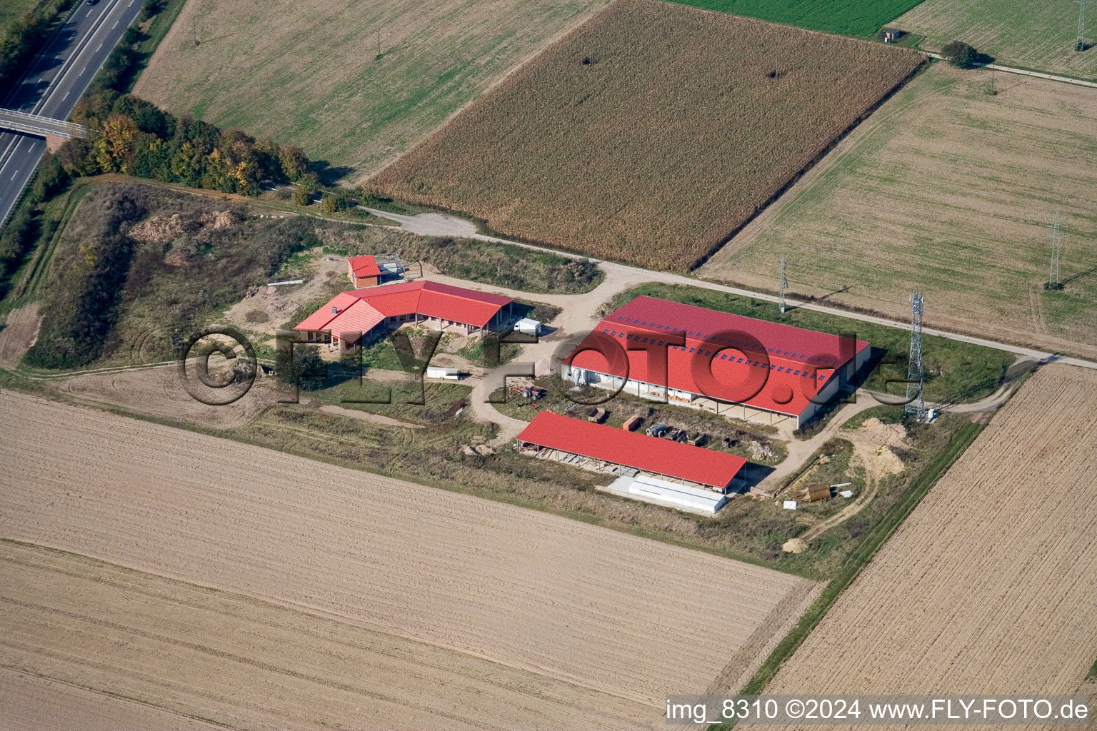 Bird's eye view of Chicken farm egg farm in Erlenbach bei Kandel in the state Rhineland-Palatinate, Germany