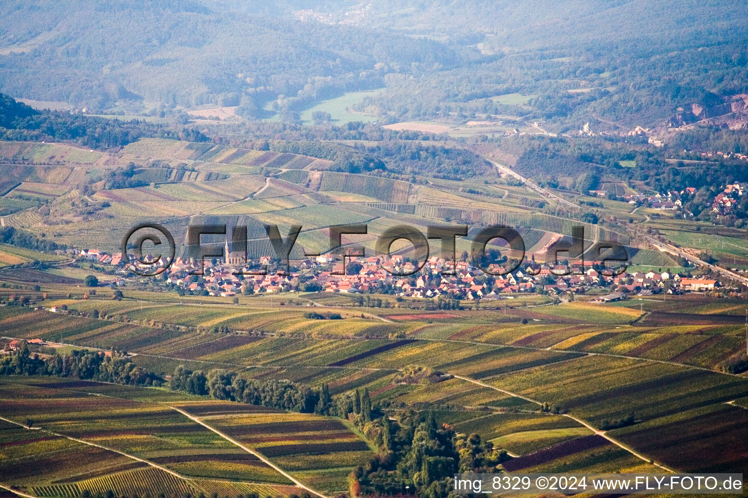 Fields of wine cultivation landscape in Birkweiler in the state Rhineland-Palatinate