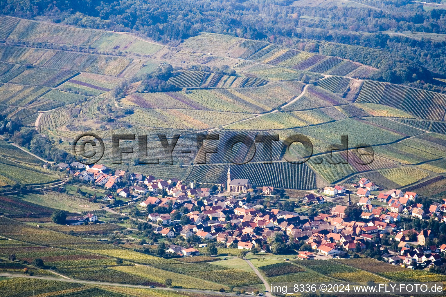 Birkweiler in the state Rhineland-Palatinate, Germany from a drone