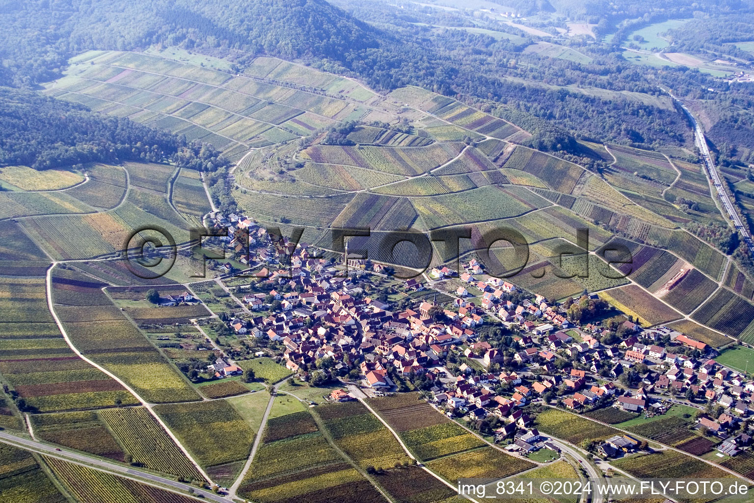 Birkweiler in the state Rhineland-Palatinate, Germany seen from a drone