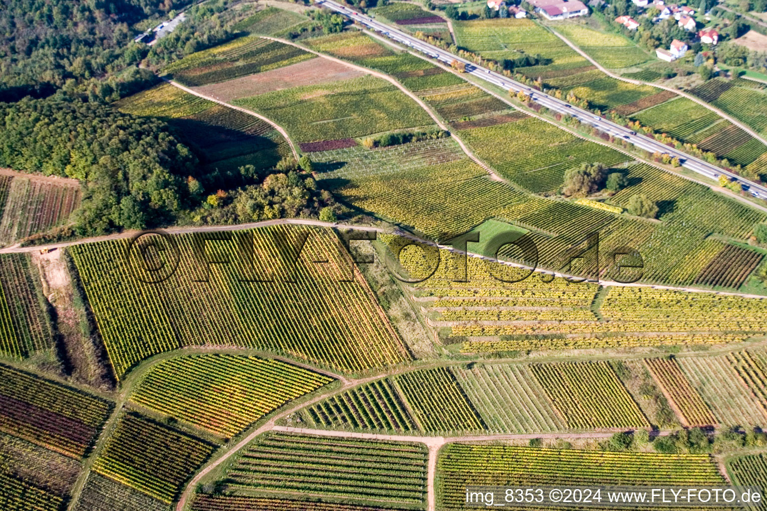 Chestnut bush in Birkweiler in the state Rhineland-Palatinate, Germany out of the air