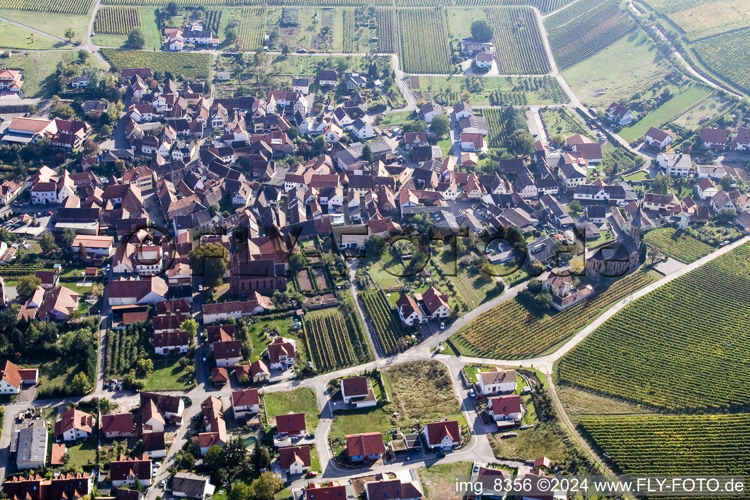 Birkweiler in the state Rhineland-Palatinate, Germany out of the air