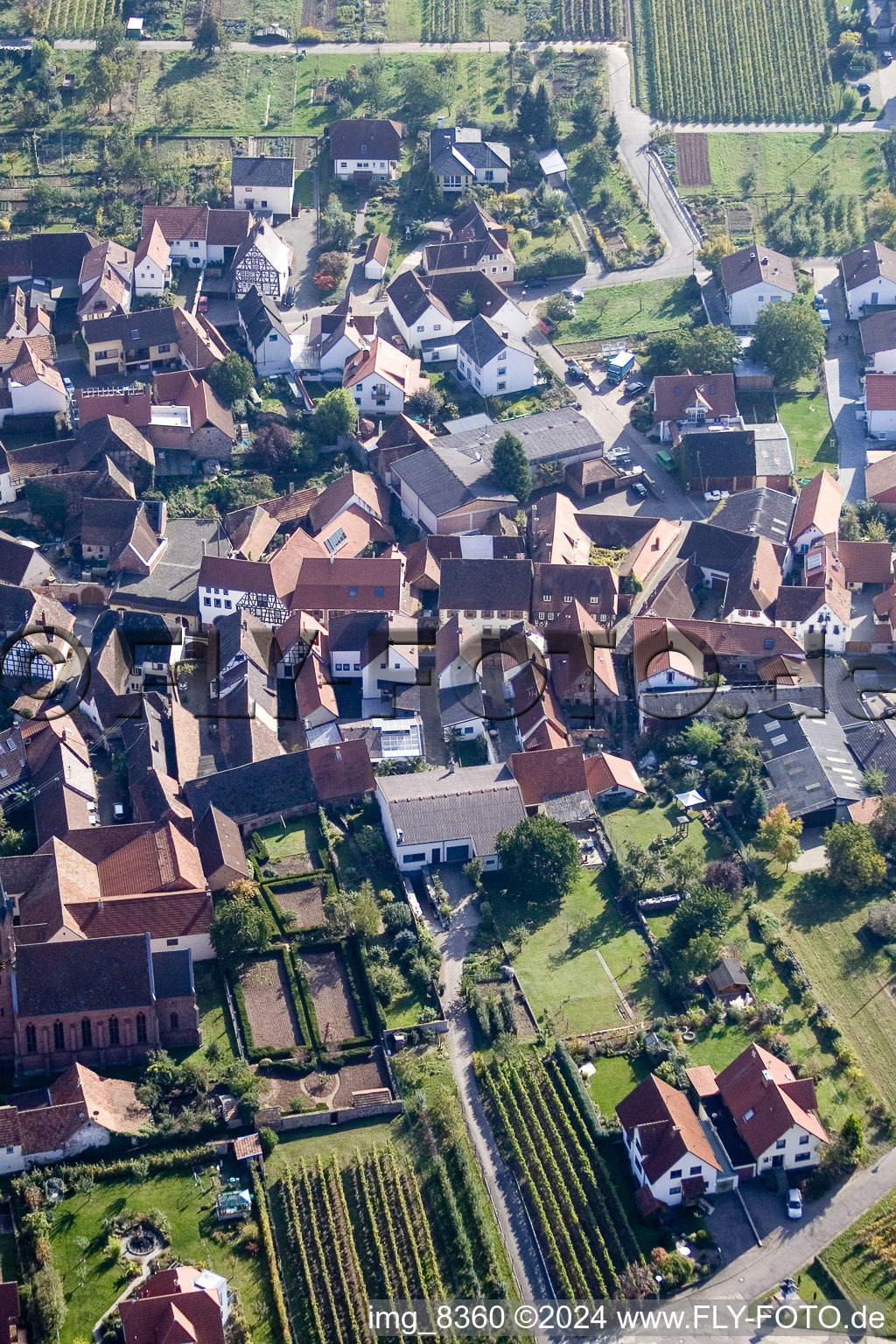 Birkweiler in the state Rhineland-Palatinate, Germany from the plane