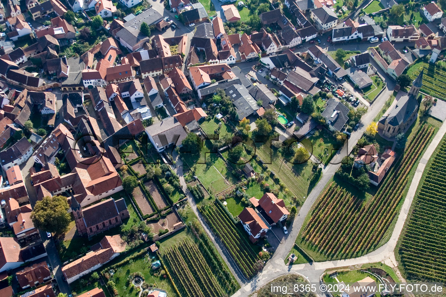 Birkweiler in the state Rhineland-Palatinate, Germany from the drone perspective