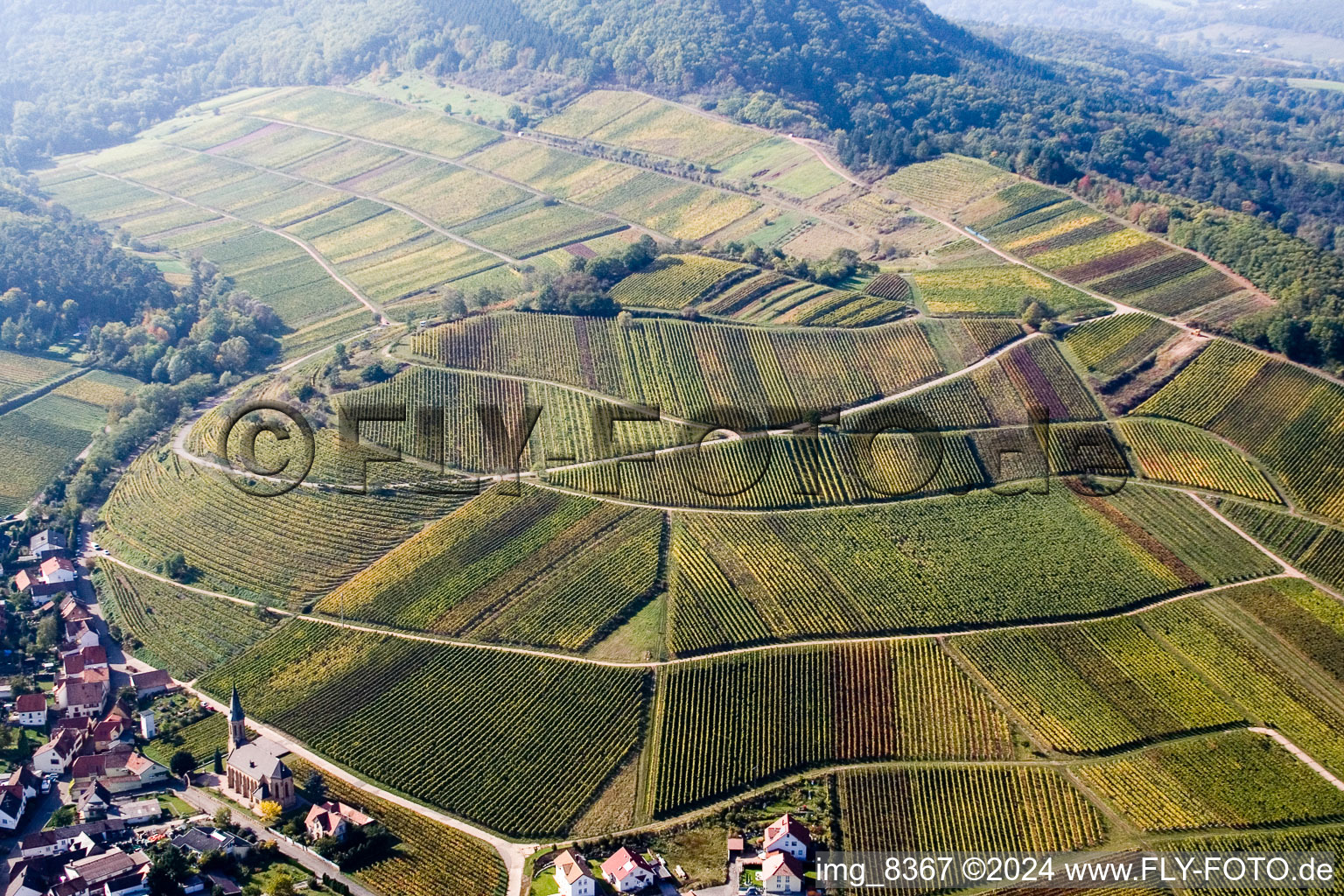 Chestnut bush in Birkweiler in the state Rhineland-Palatinate, Germany from the plane