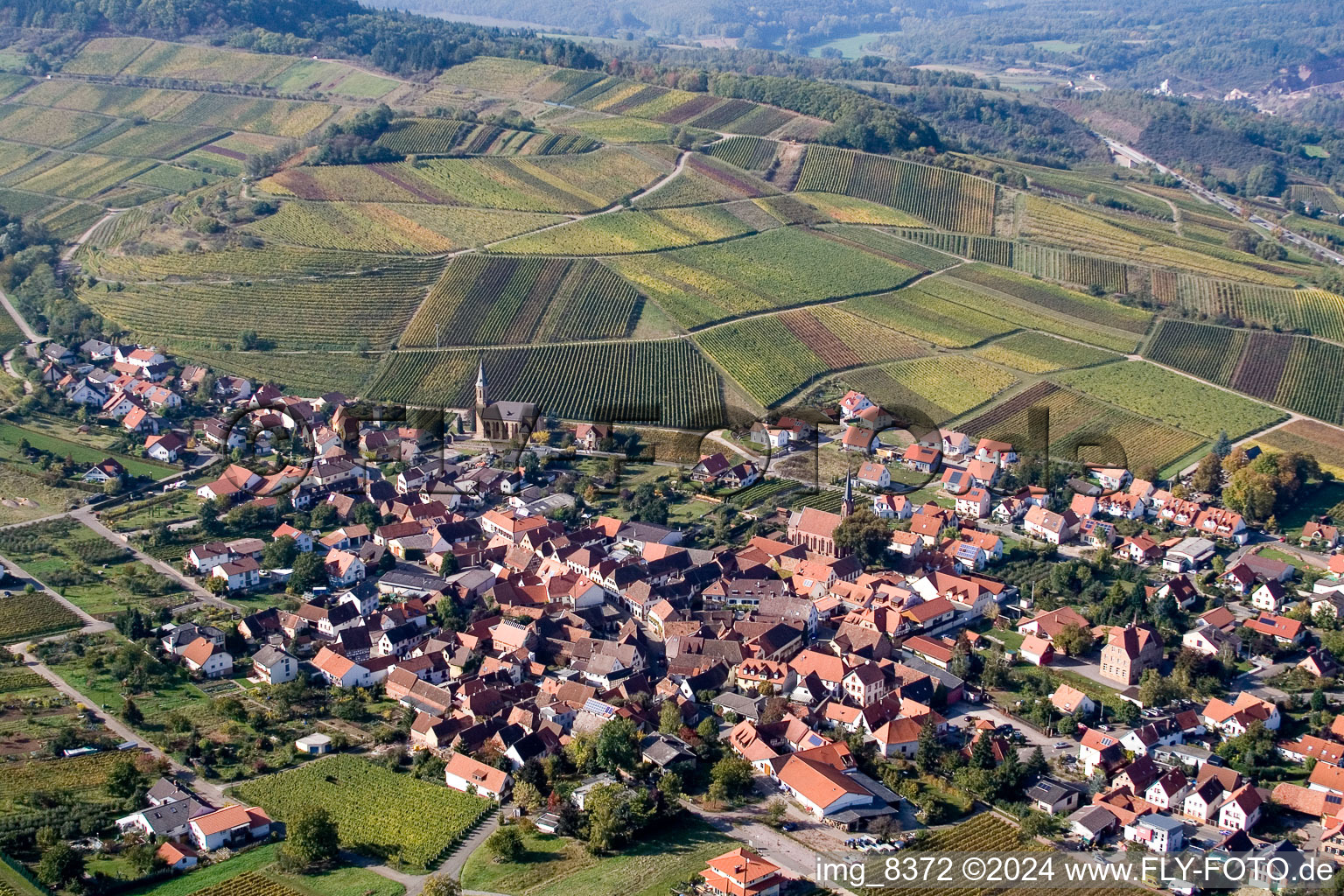 Village - view on the edge of wine yards in Birkweiler in the state Rhineland-Palatinate