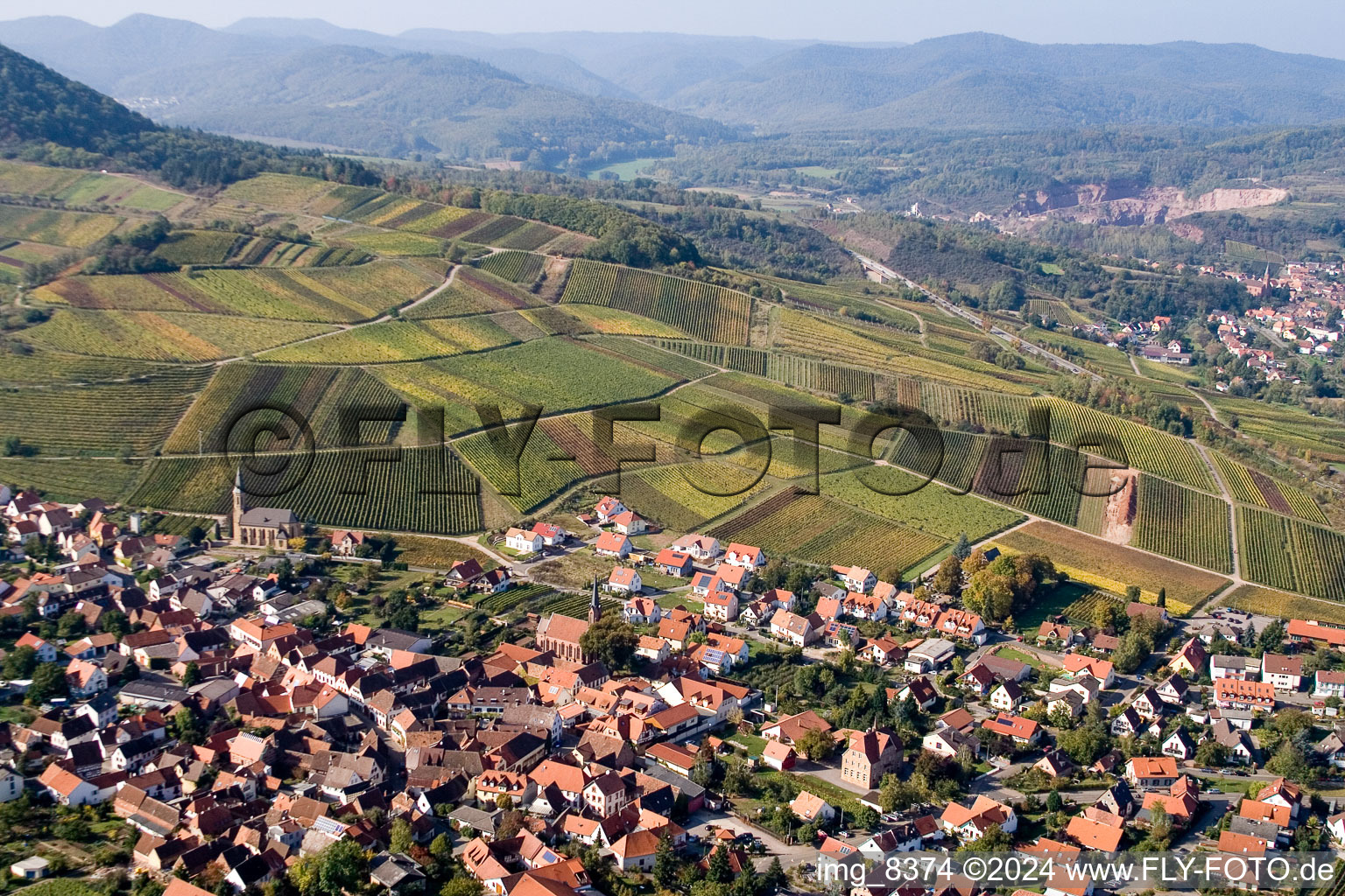 Bird's eye view of Chestnut bush in Birkweiler in the state Rhineland-Palatinate, Germany