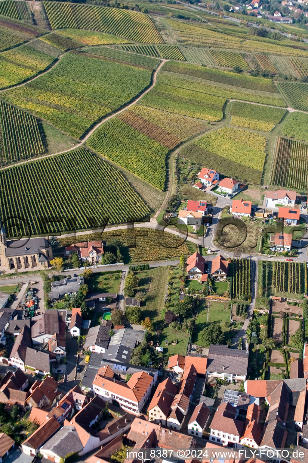 Village - view on the edge of wine yards in Birkweiler in the state Rhineland-Palatinate