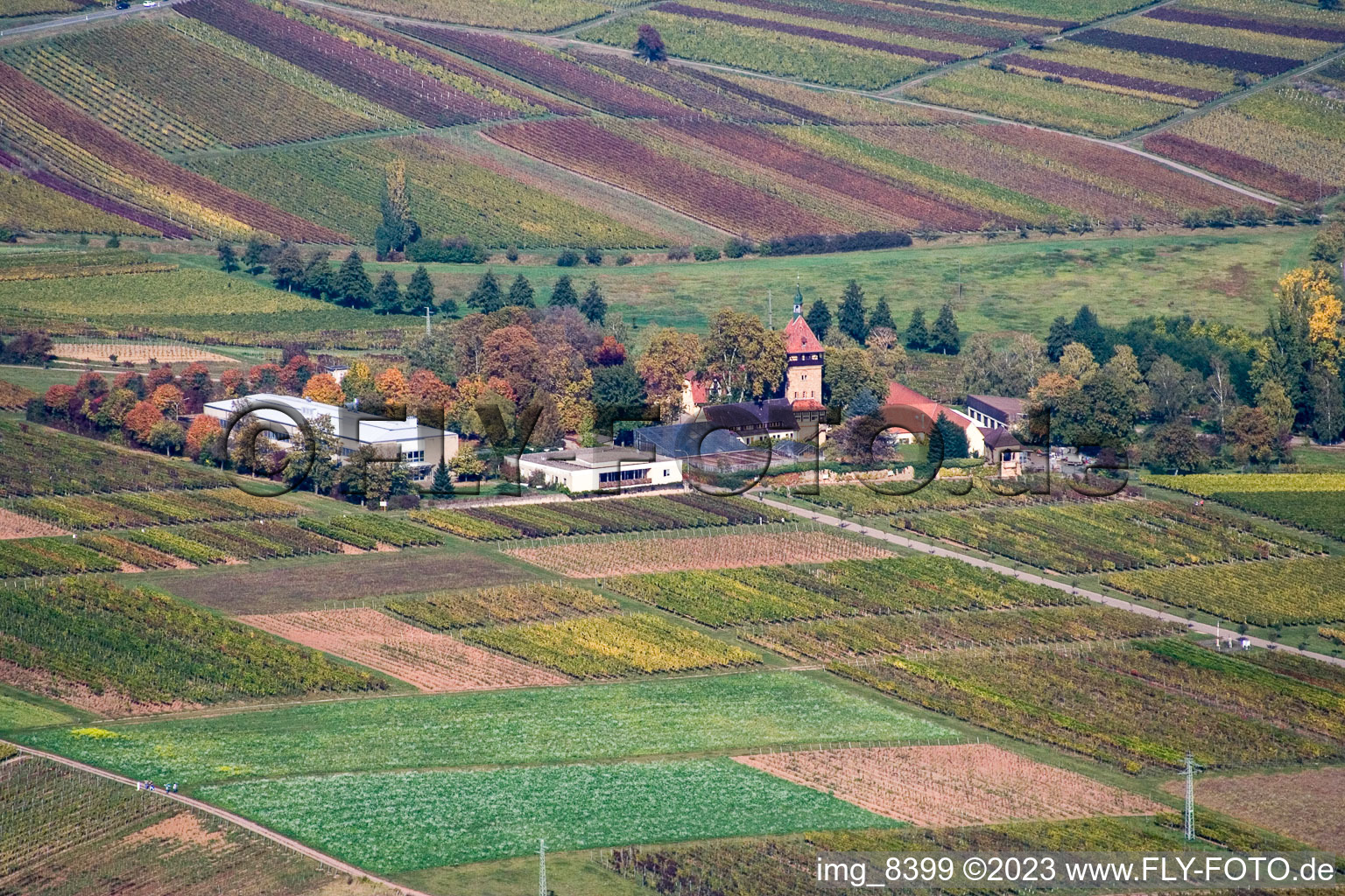 BFA-Geilweilerhof (Vine Research Institute) in Siebeldingen in the state Rhineland-Palatinate, Germany from above