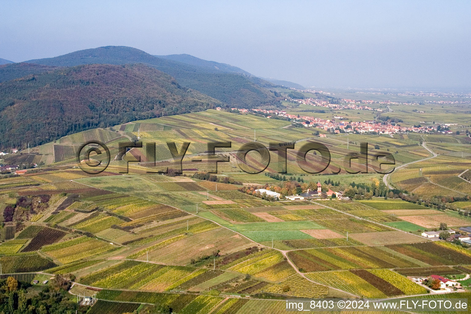 From the south in Frankweiler in the state Rhineland-Palatinate, Germany